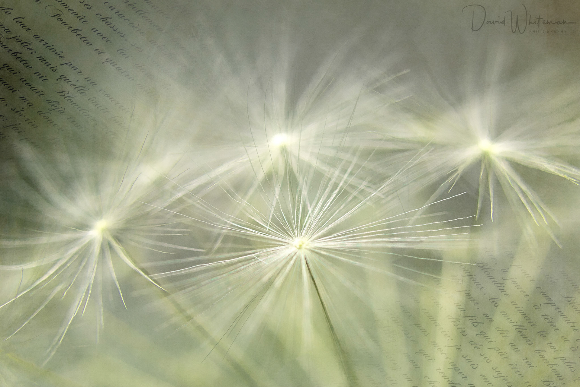 Have you seen the stars tonight