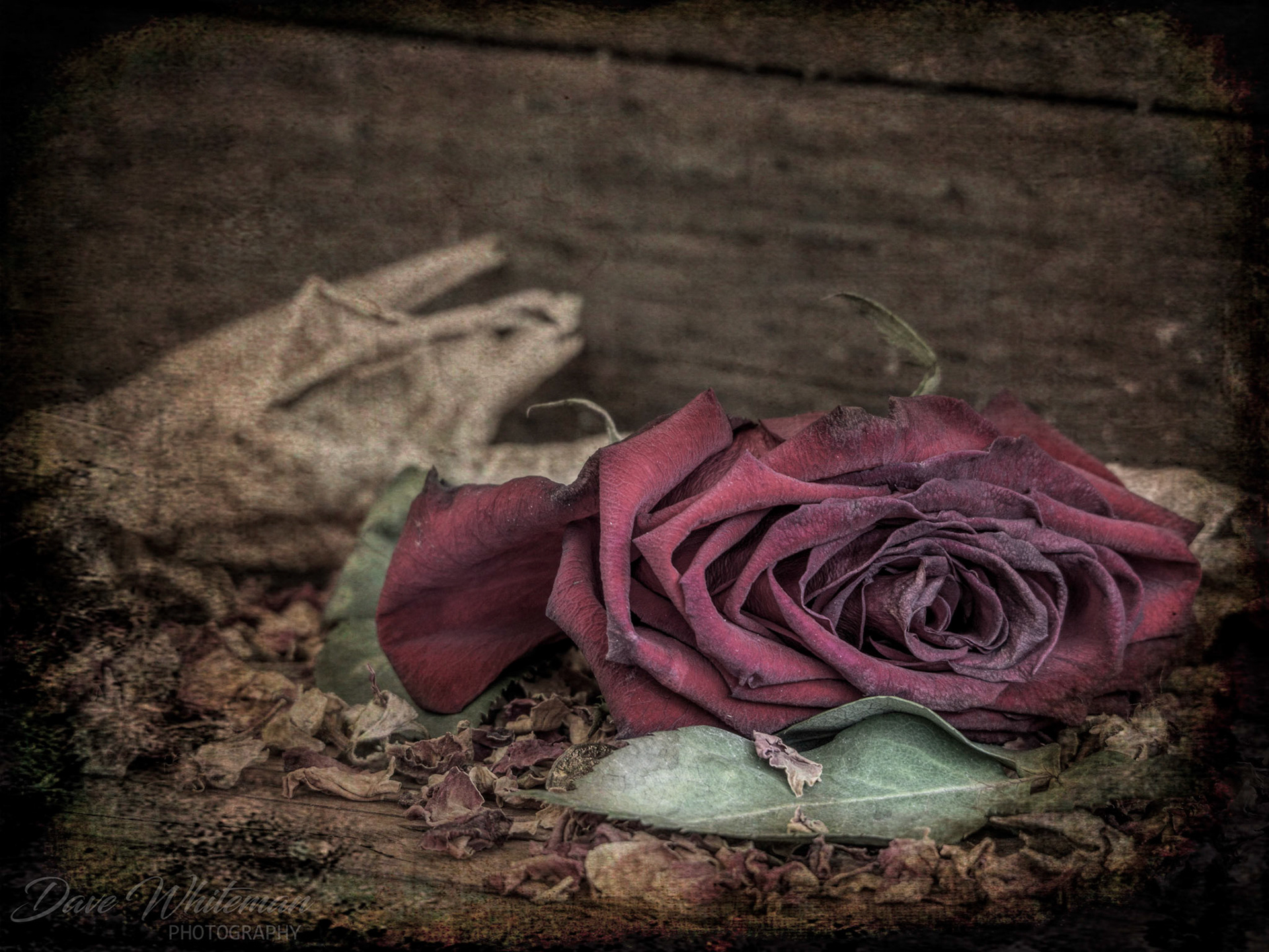 Valentine forgotten