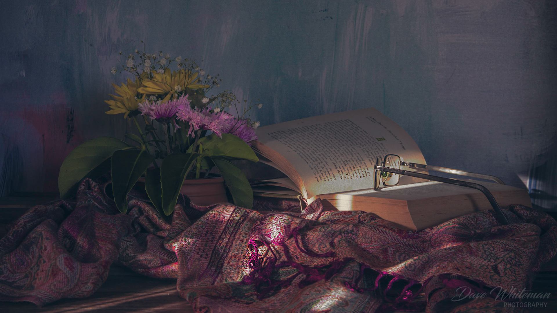 While the cold winds rattle the window pane, we are warm, spending a Winter afternoon catching up on some reading by the sunbeams.