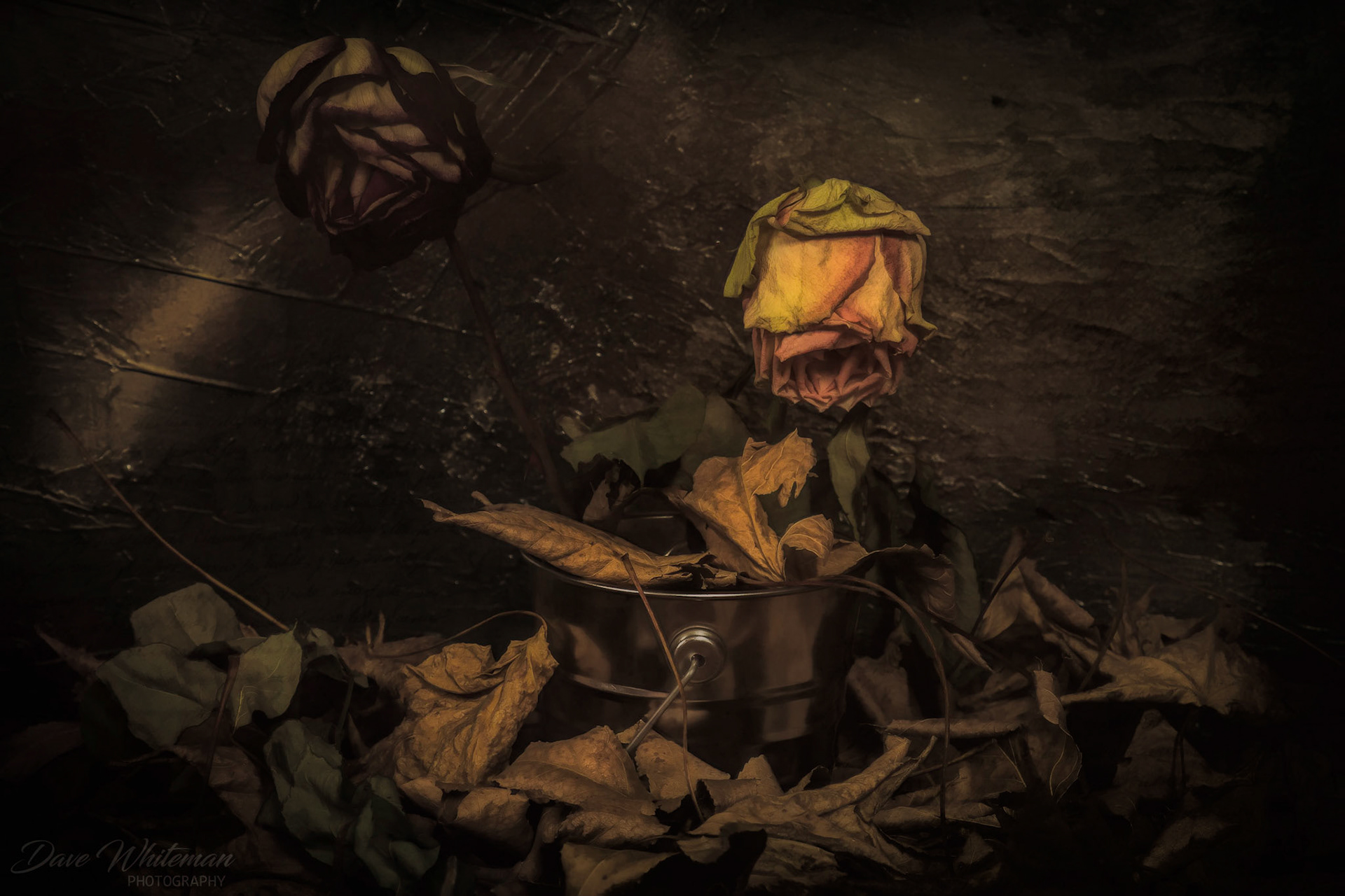 Autumn's gone and Winter creeps in.