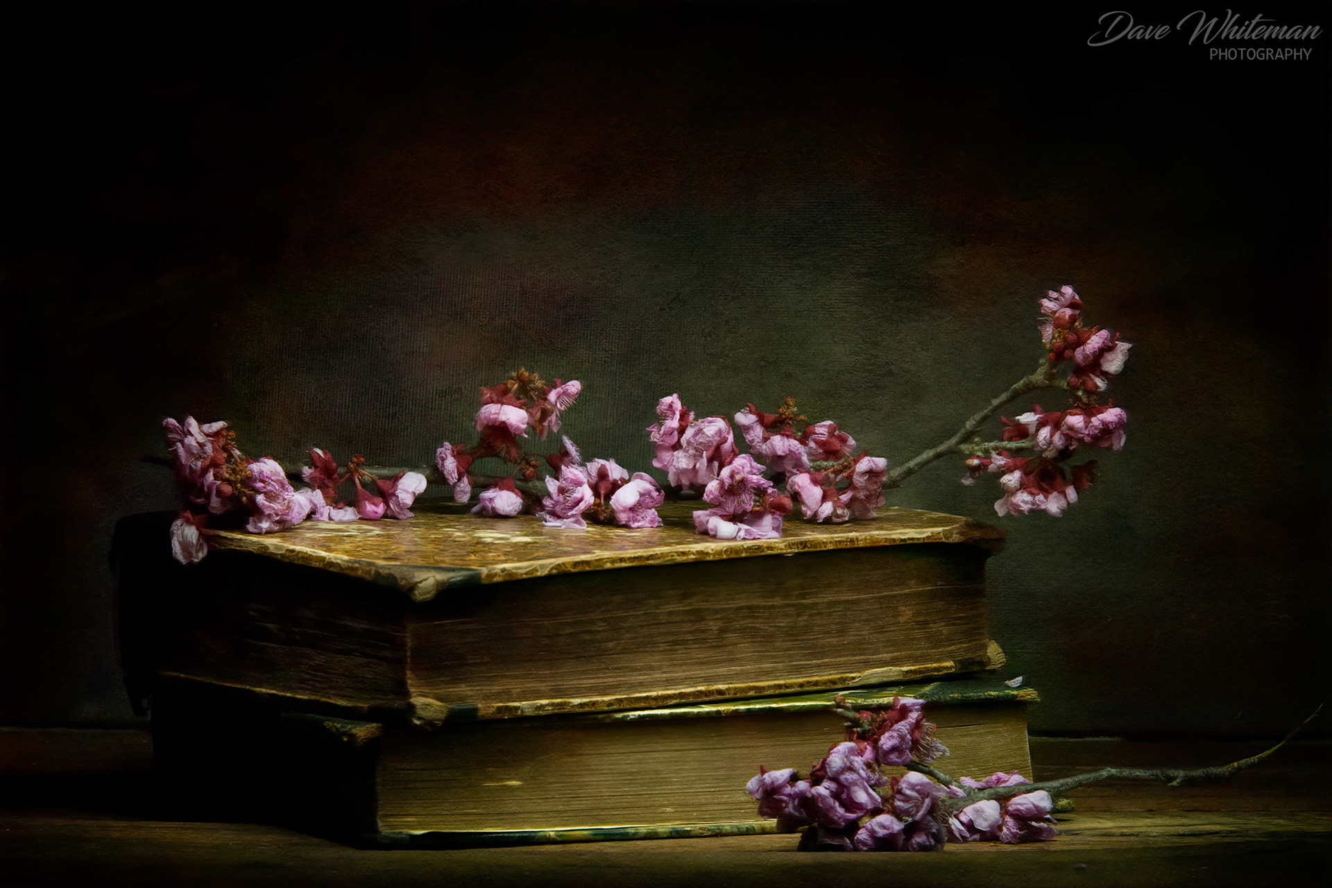 A little light painting with the lensbaby Velvet 56