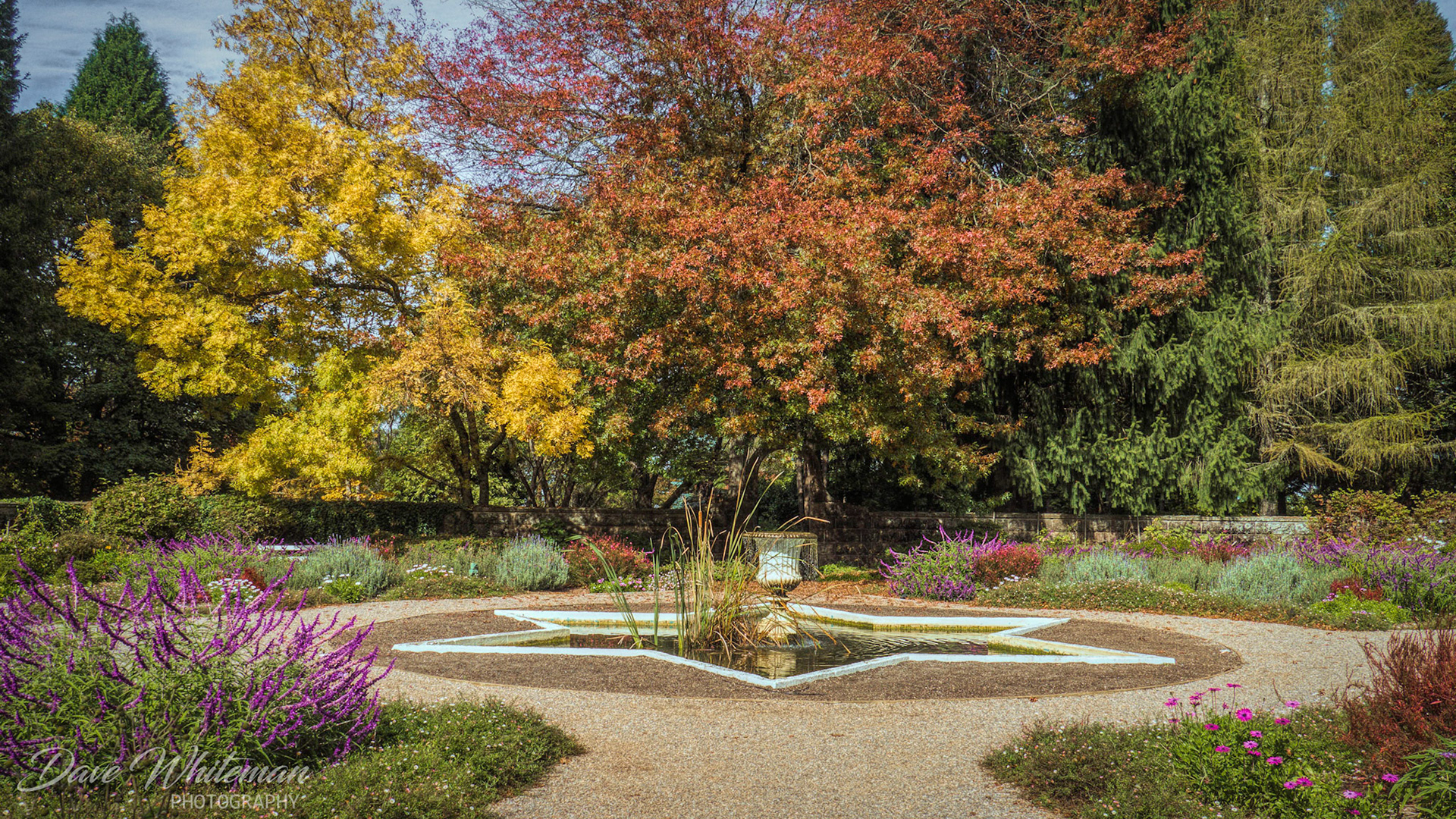 The Celestium at Breenhold Gardens in Autumn.