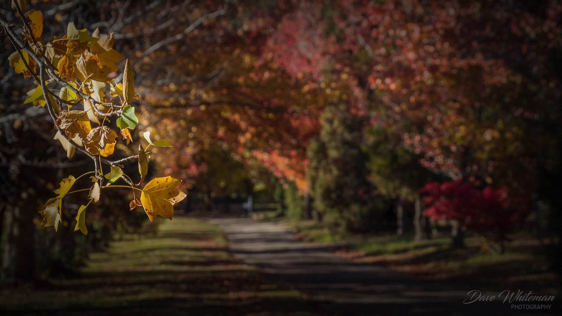 Mountain Lagoon Blue Mountains.