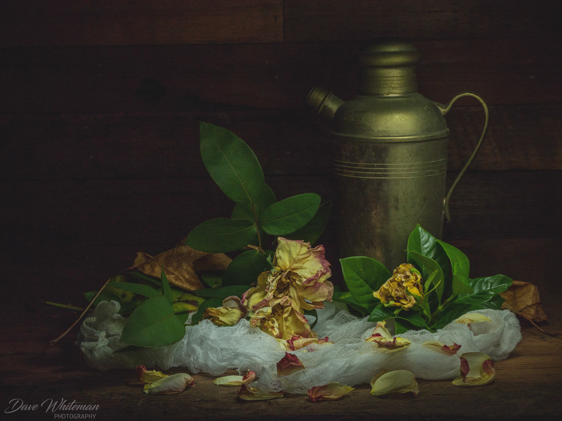 Halcyon Days Gone By