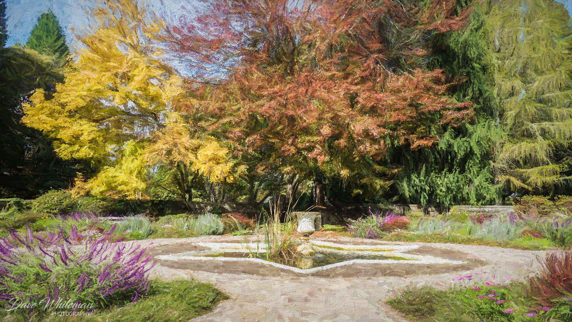 Breenhold Gardens Mt Wilson in Autumn. #BreenholdGardens,#MtWilson,#Autumn