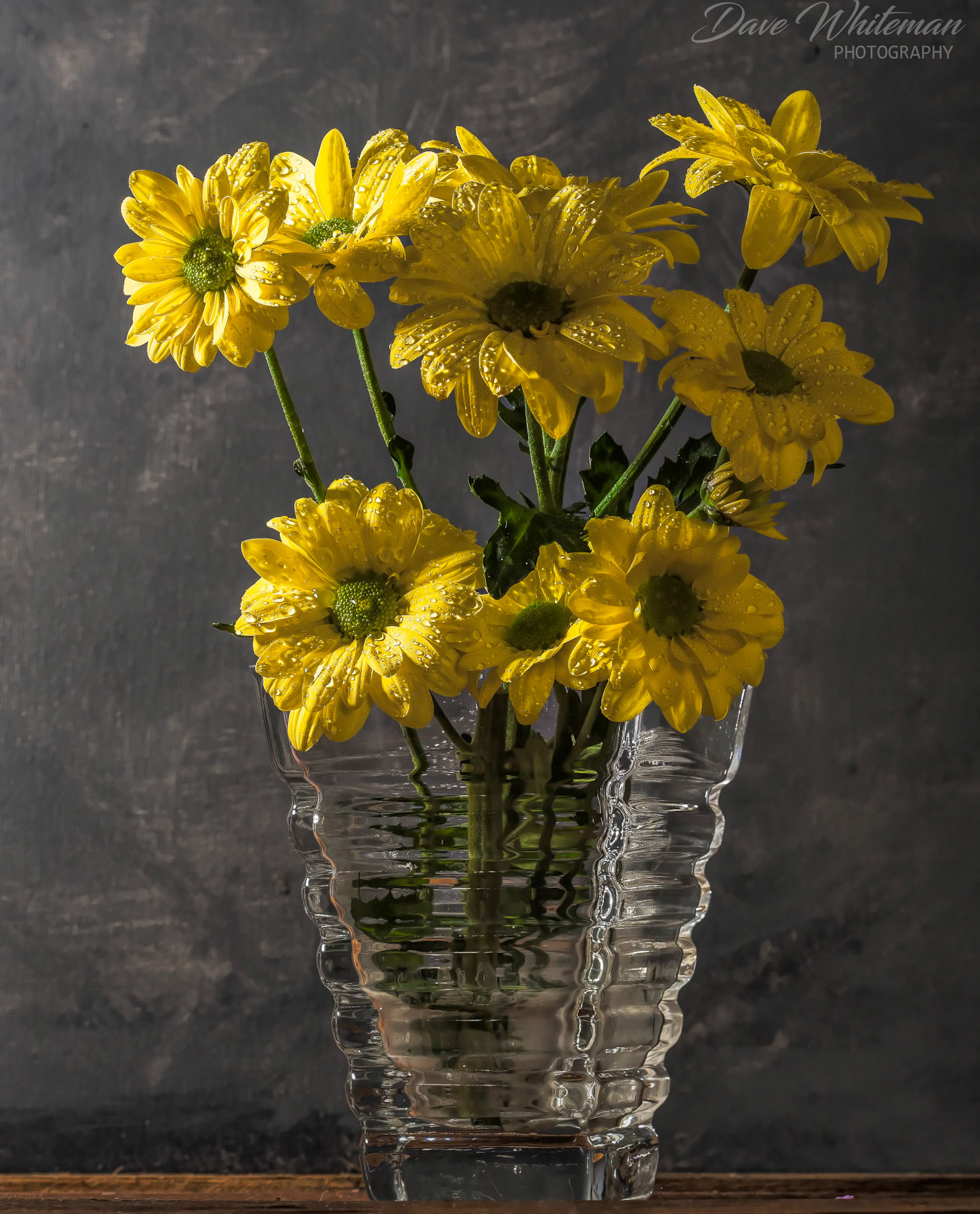 Saturday afternoon still life