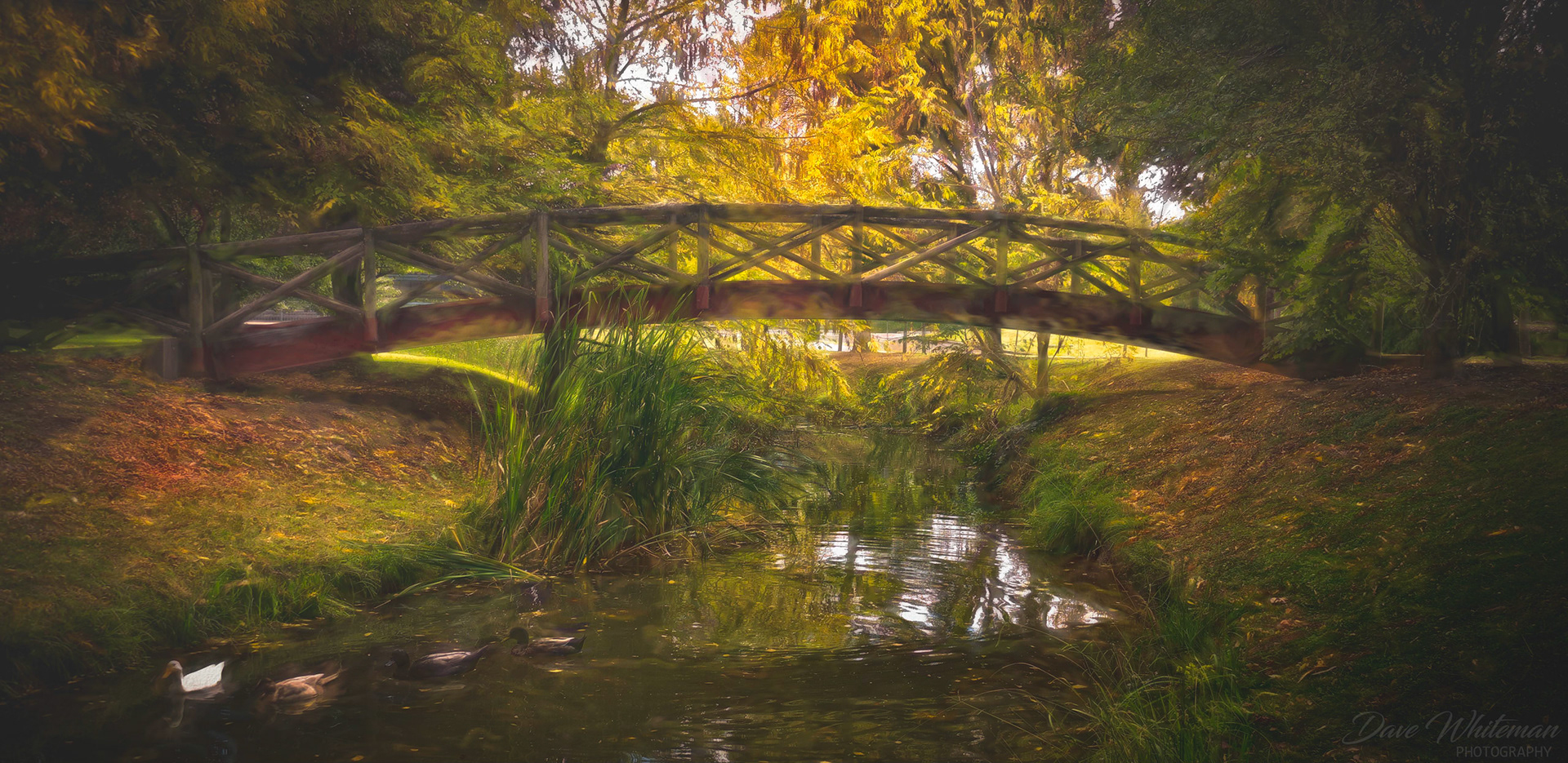 Bowral Park in Autumn