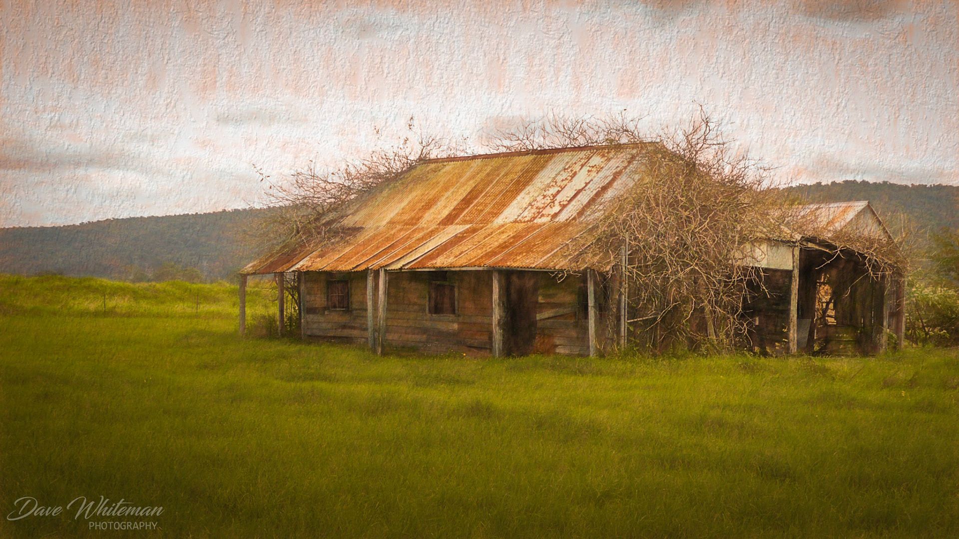 Pioneer built homestead on the Castlereagh Plains. No longer in existance.