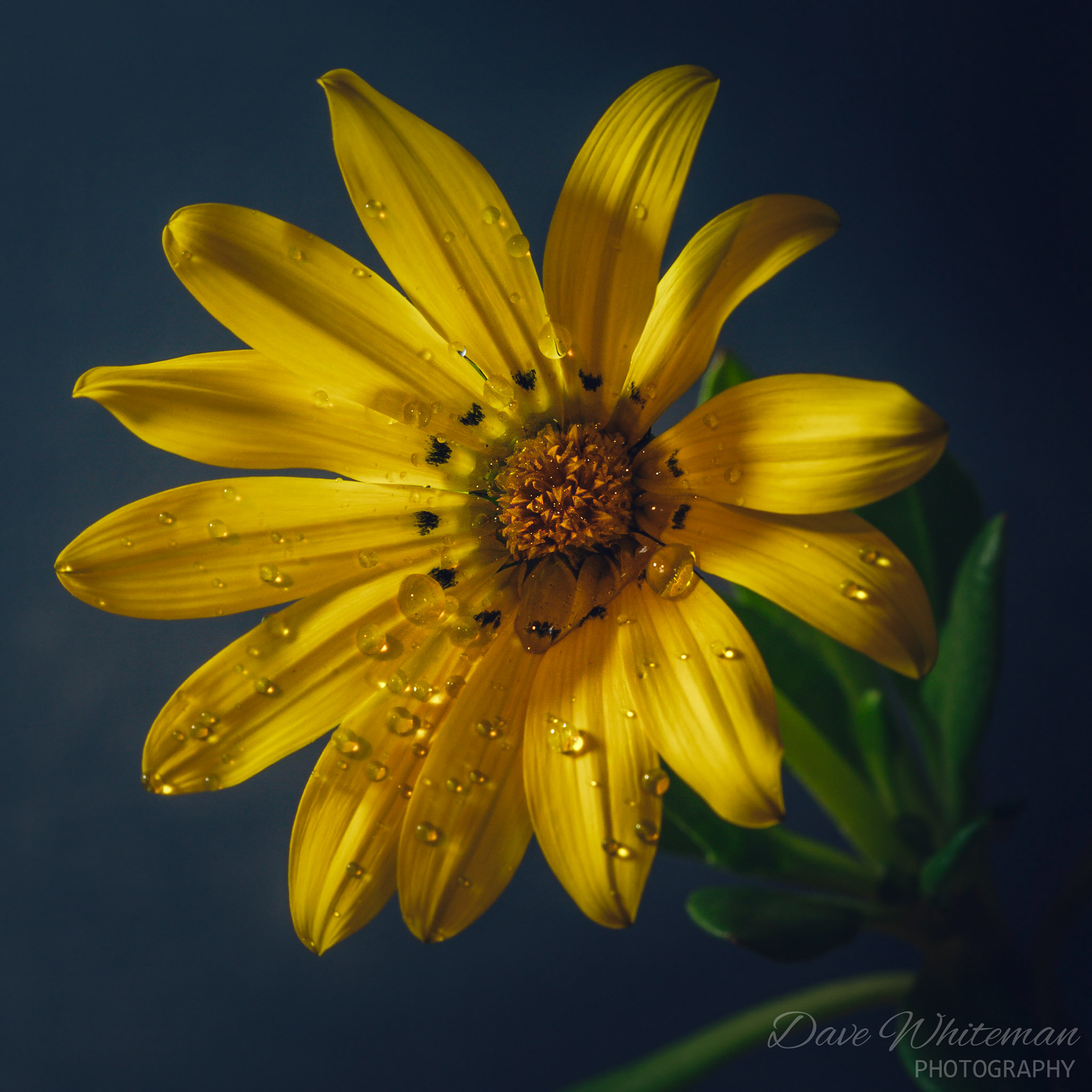 Every day is something to smile about.