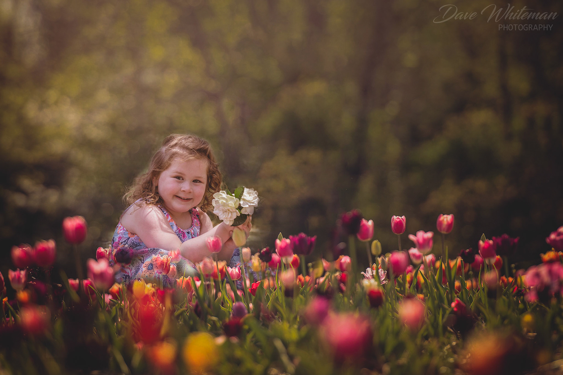Amelia amongst the tulips