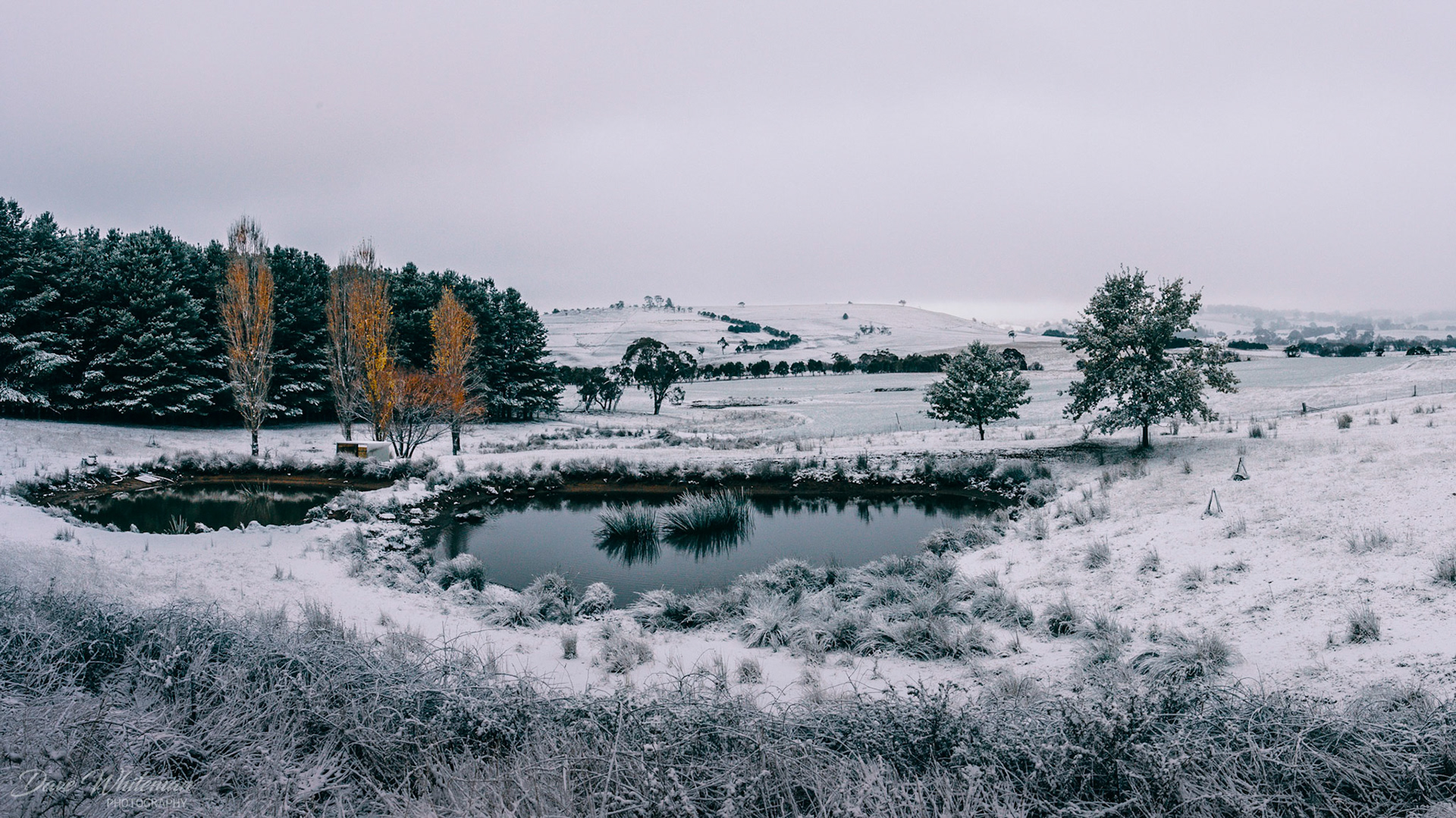 First snows of the season on the Oberon Plateau.