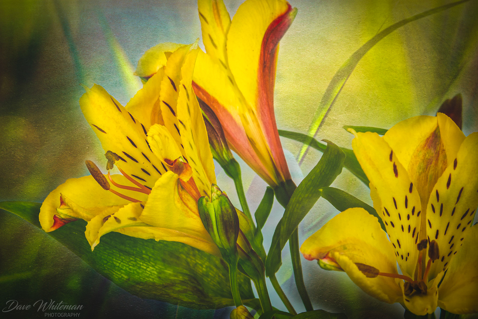 How much fun can you have for 3 bucks!