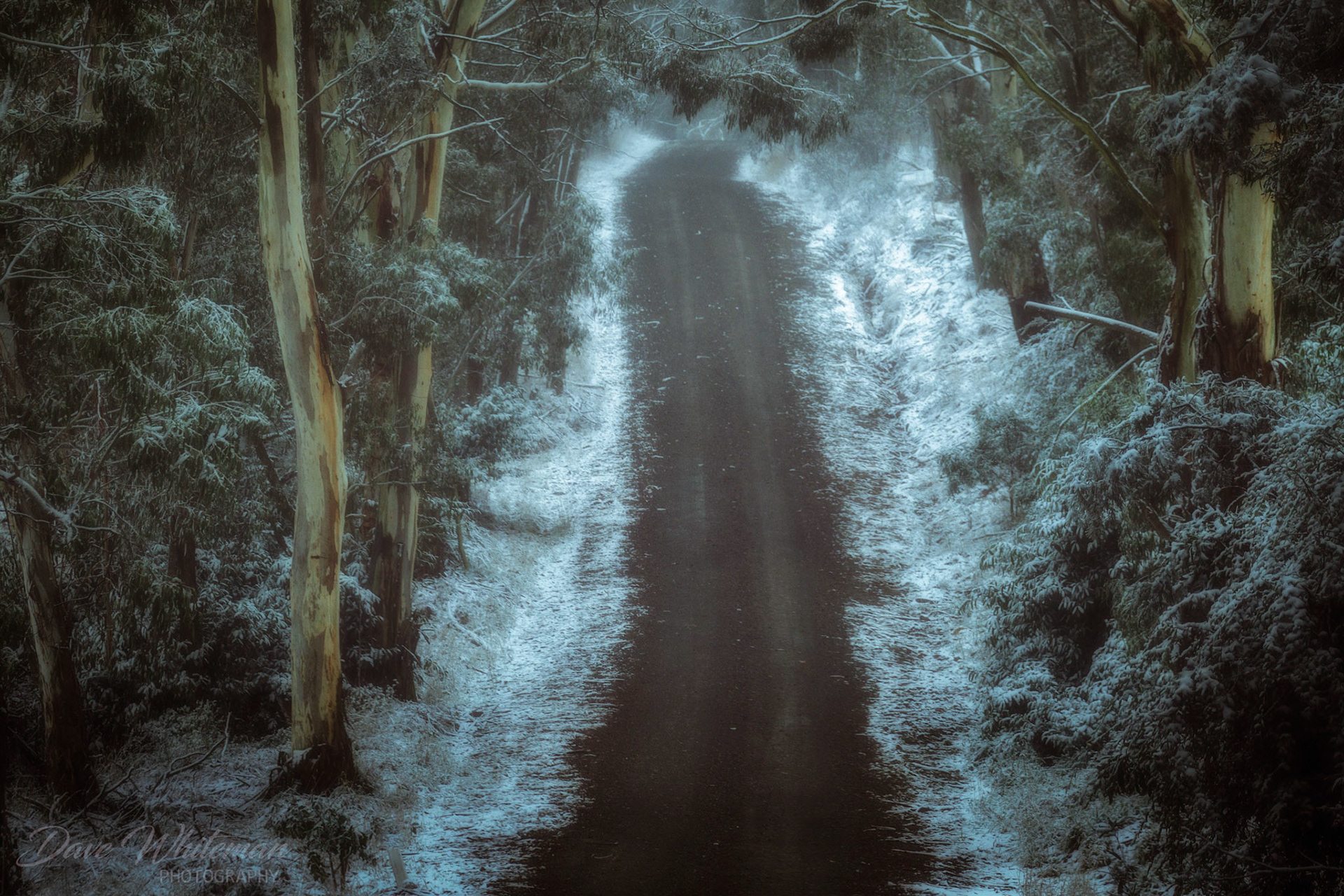 The track to Mozart in the Central Tablelands of NSW during snowfalls.