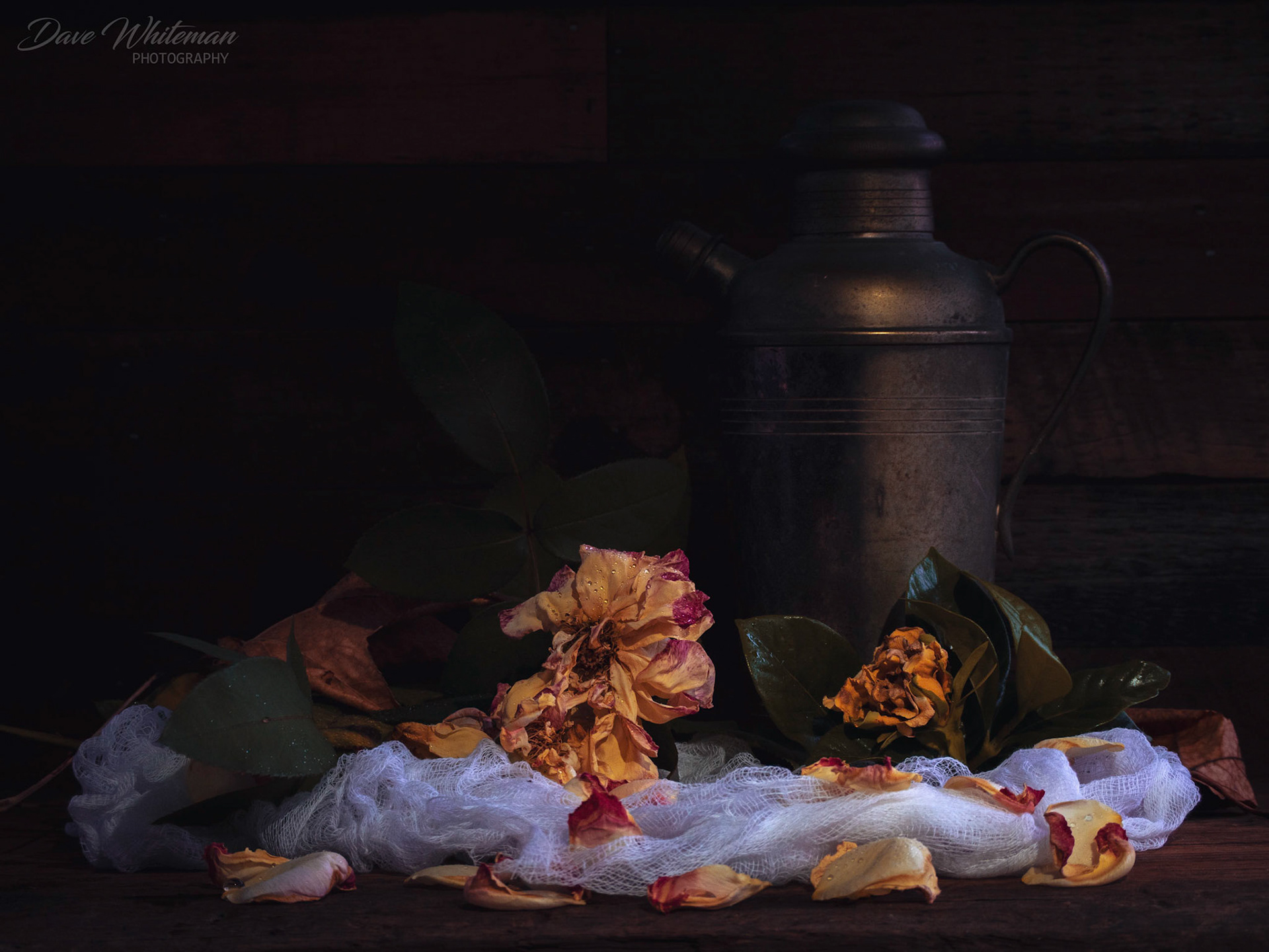 The last roses for this season as Autumn finally gets going.