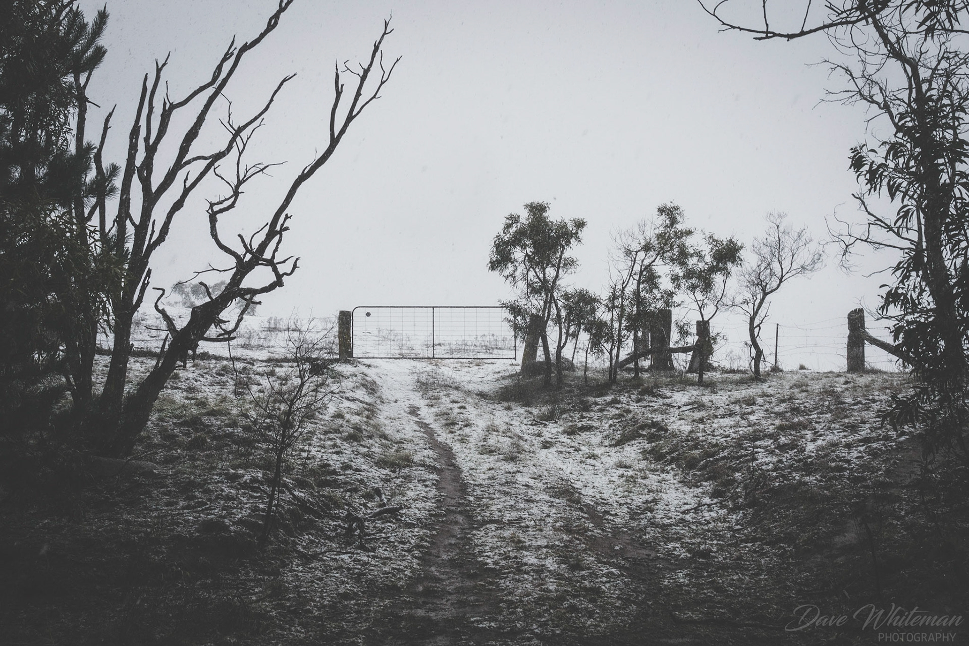 Fresh snow on the ground and more coming turning the countryside white.