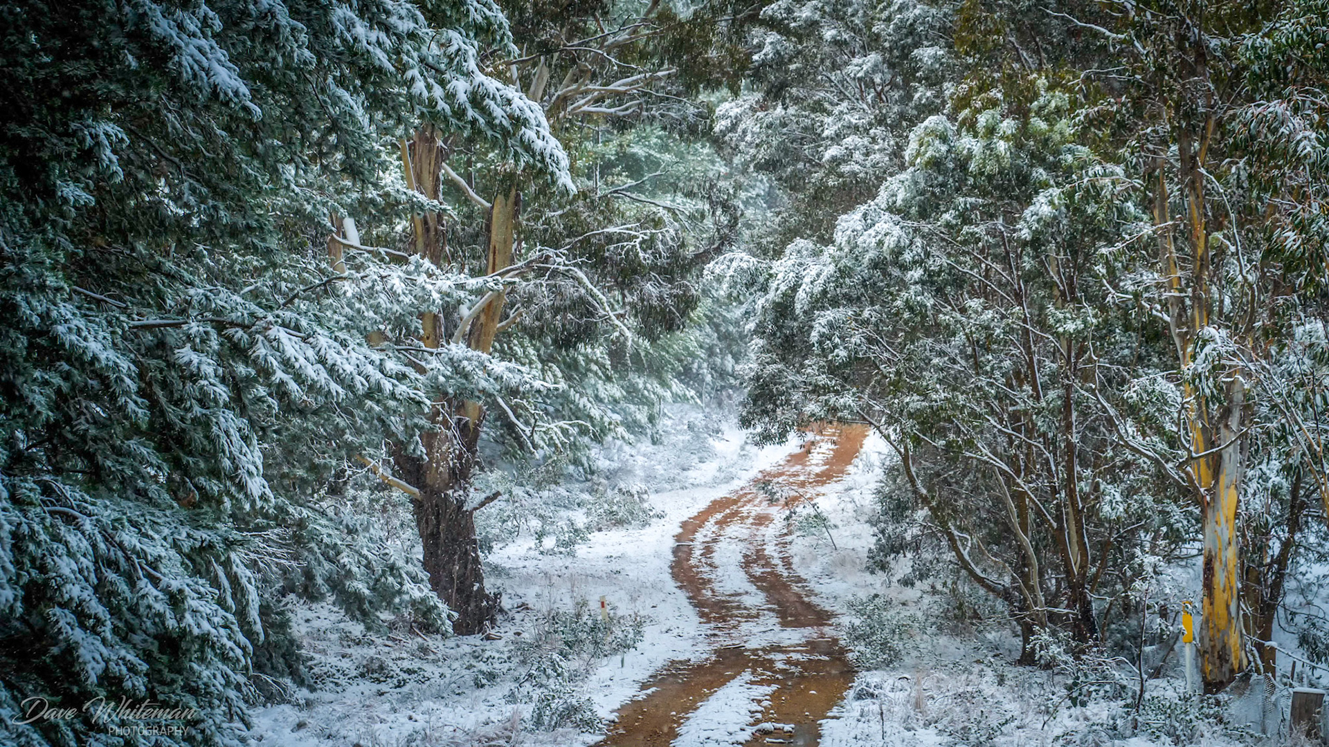 Whose woods these are I think I know.His house is in the village, though;He will not see me stopping hereTo watch his woods fill up with snow.