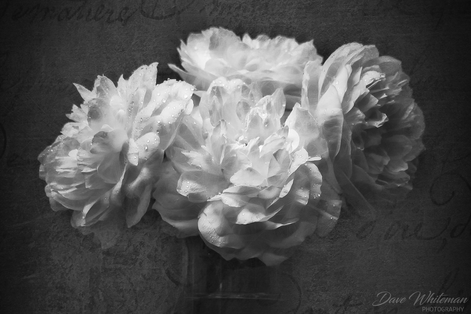 I waz whitemailedBy a white witch,Wid white magicAn white lies,