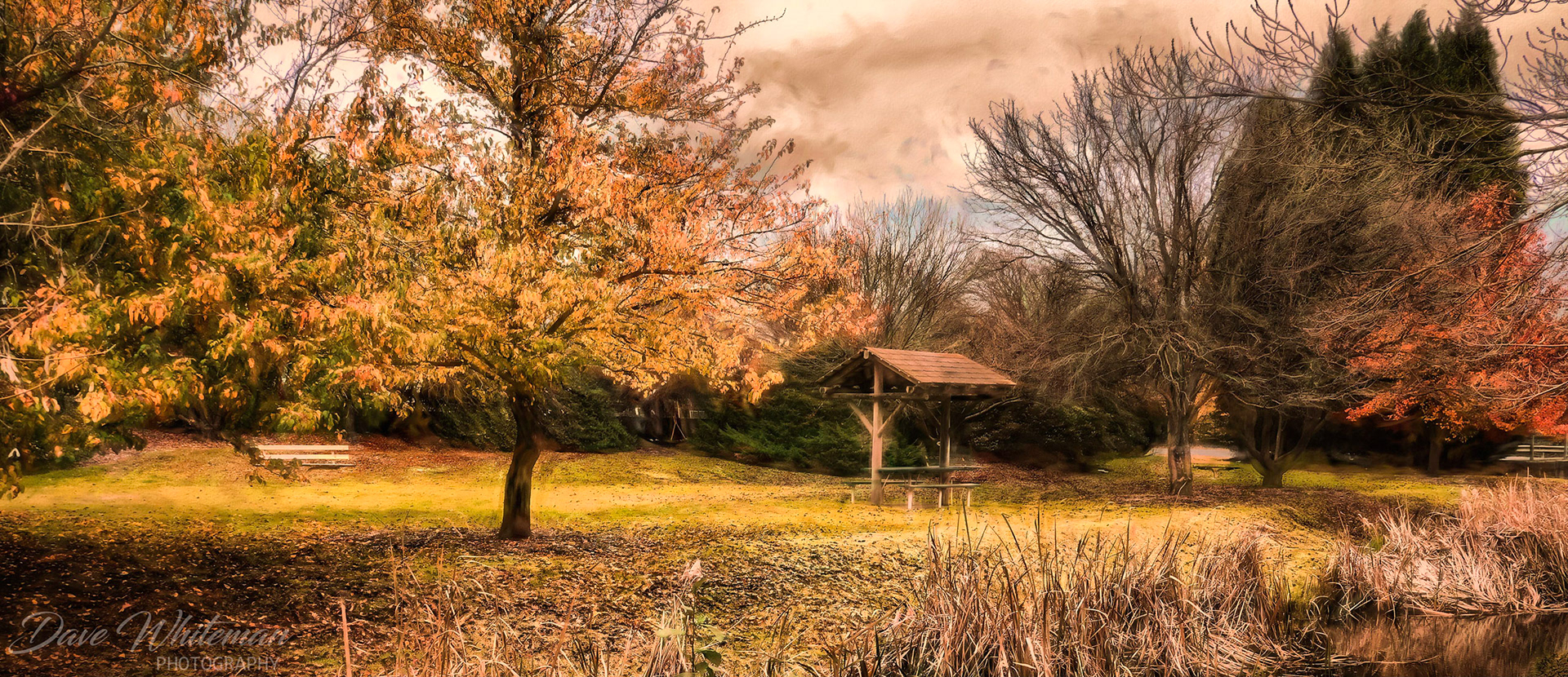 Autumn colour in Bowral Park in the Southern Highlands of NSW