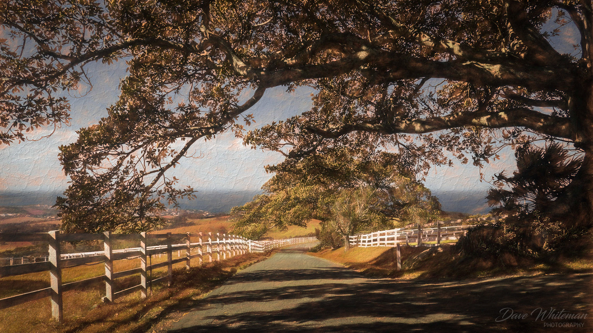 Saddleback Mountain road in the Kiama hinterland, South Coast NSW