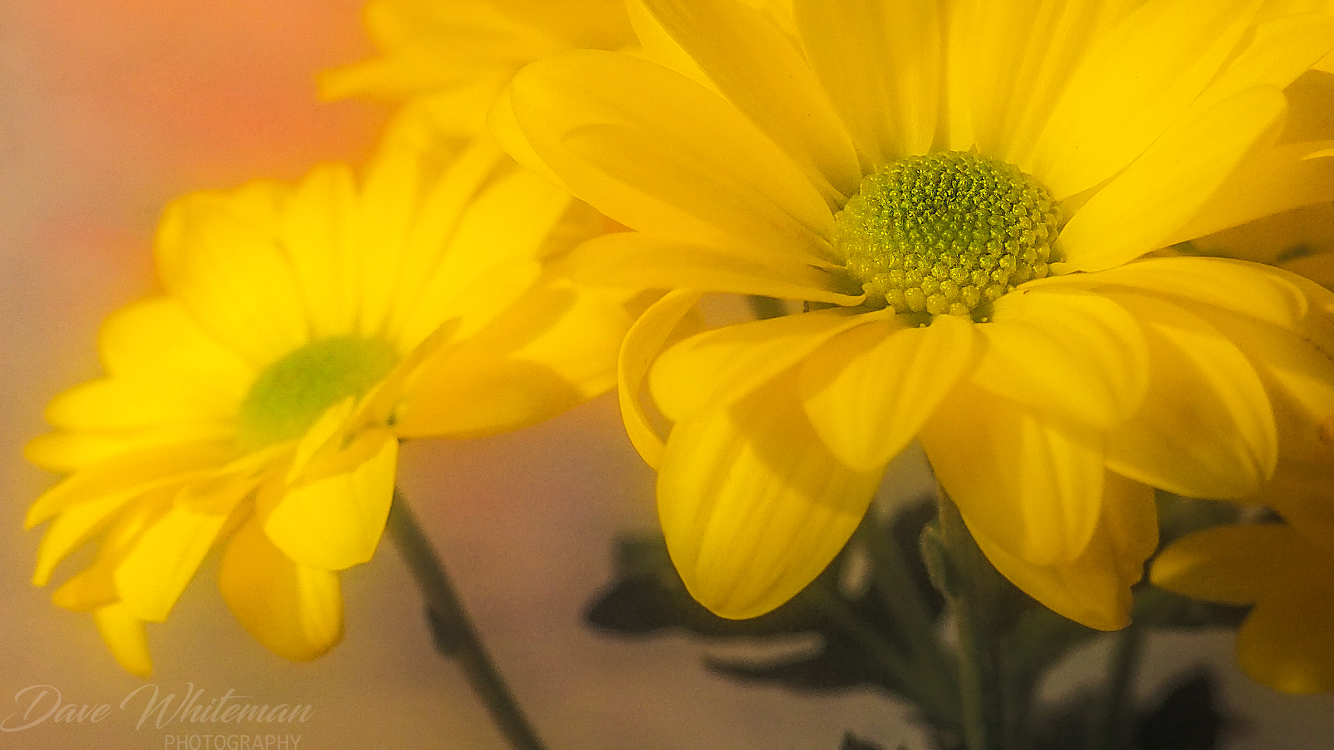 Still Life Sunday Morning