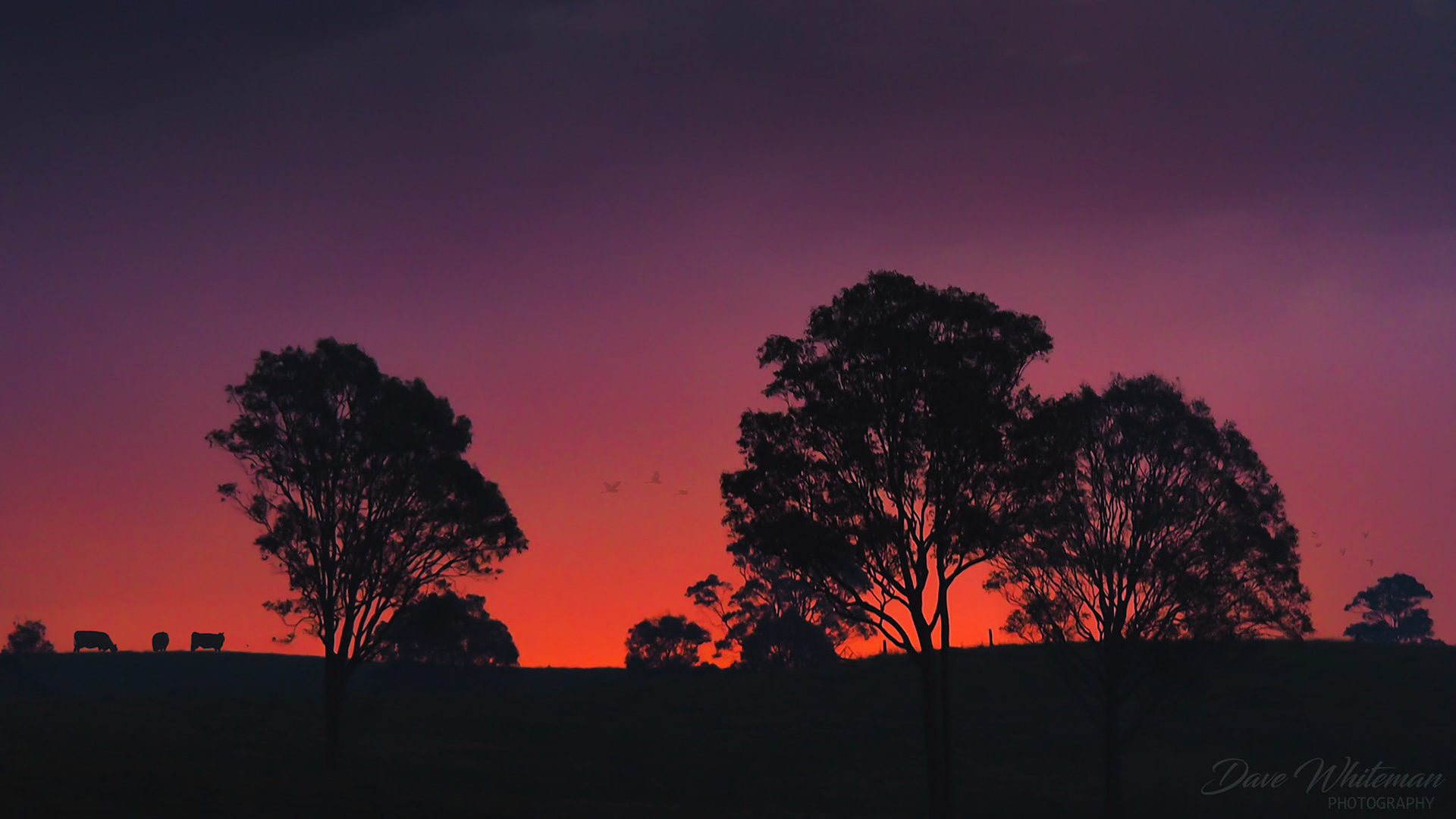 Sunset through smoke haze west of Buladelah.