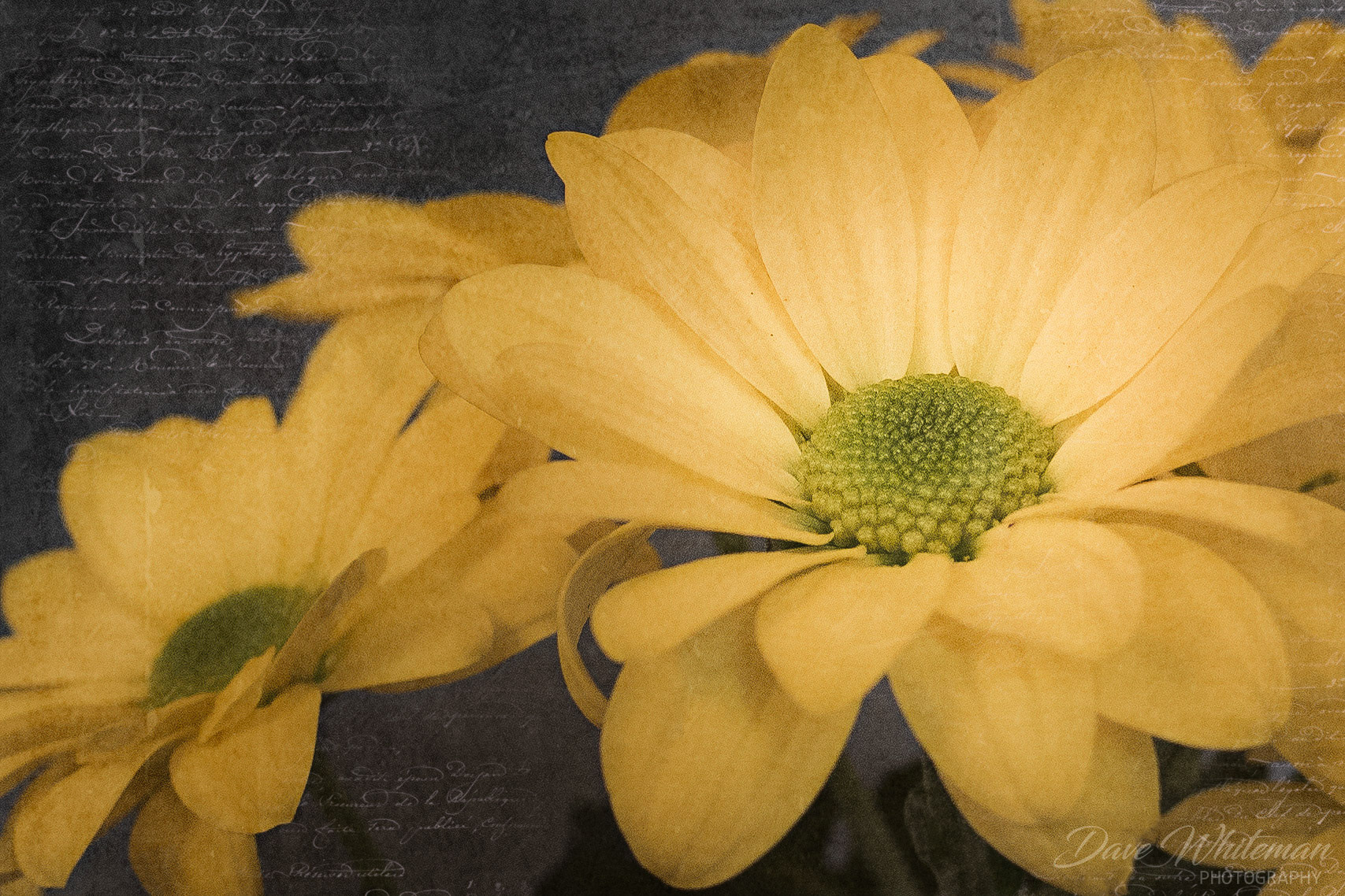 Still life on Sunday morning