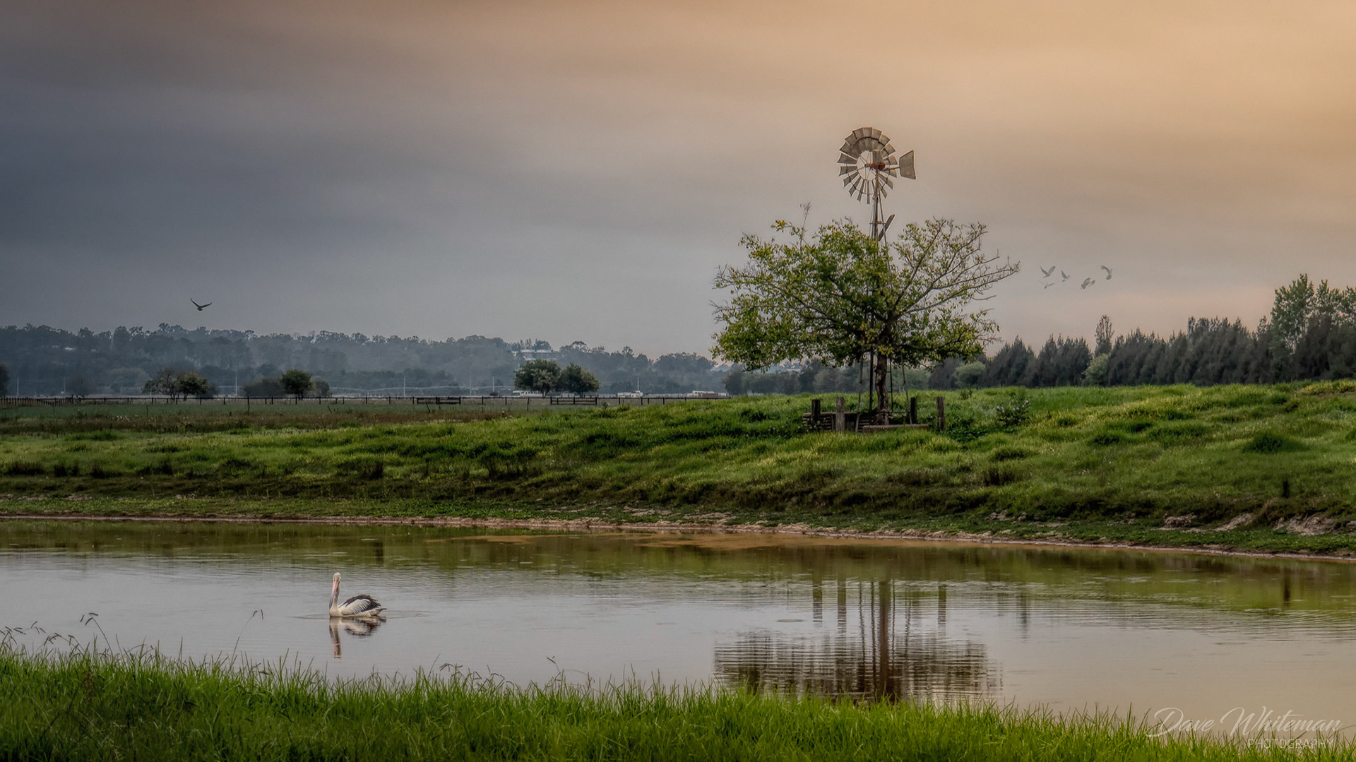 Daybreak at the Windmill Richmond Lowlands