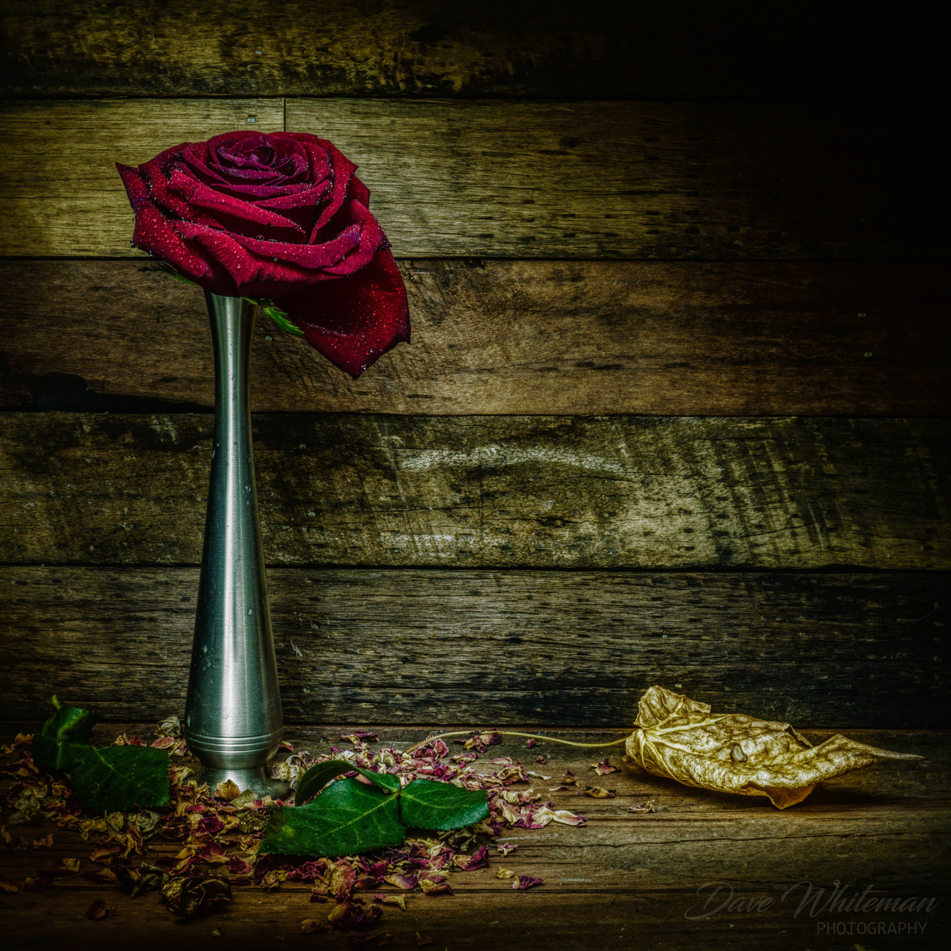 Red rose light painting.