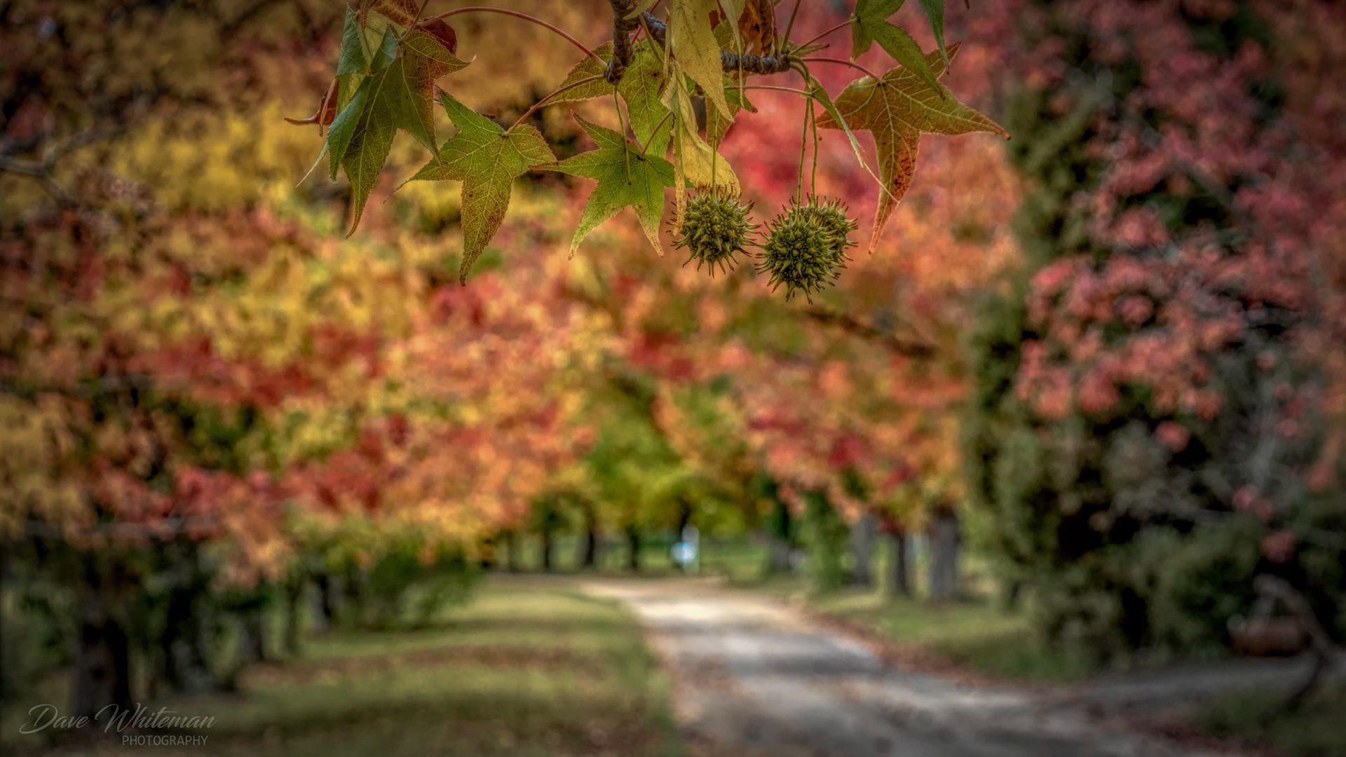 Autumn in Mountain Lagoon