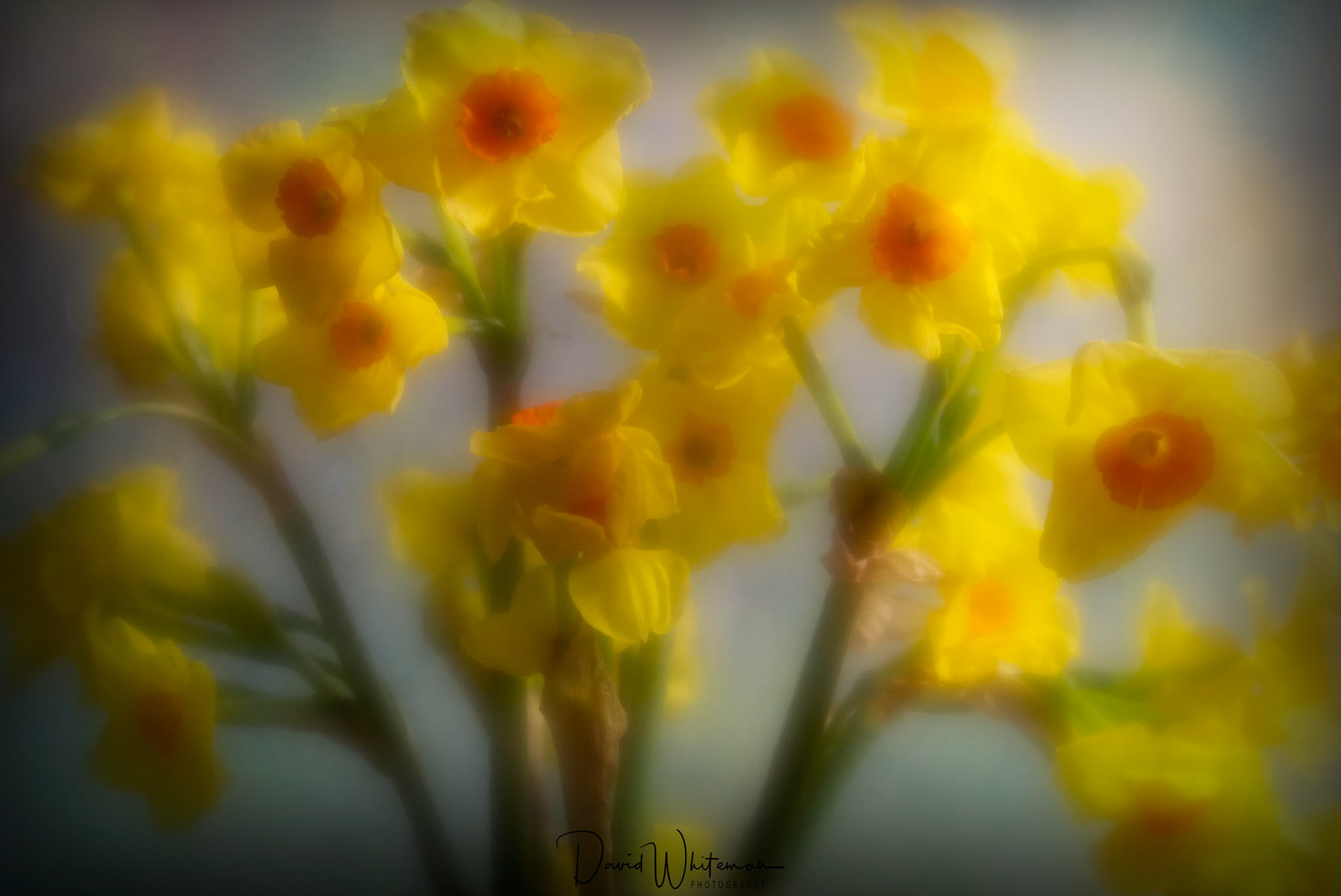 Sun's out lets Party