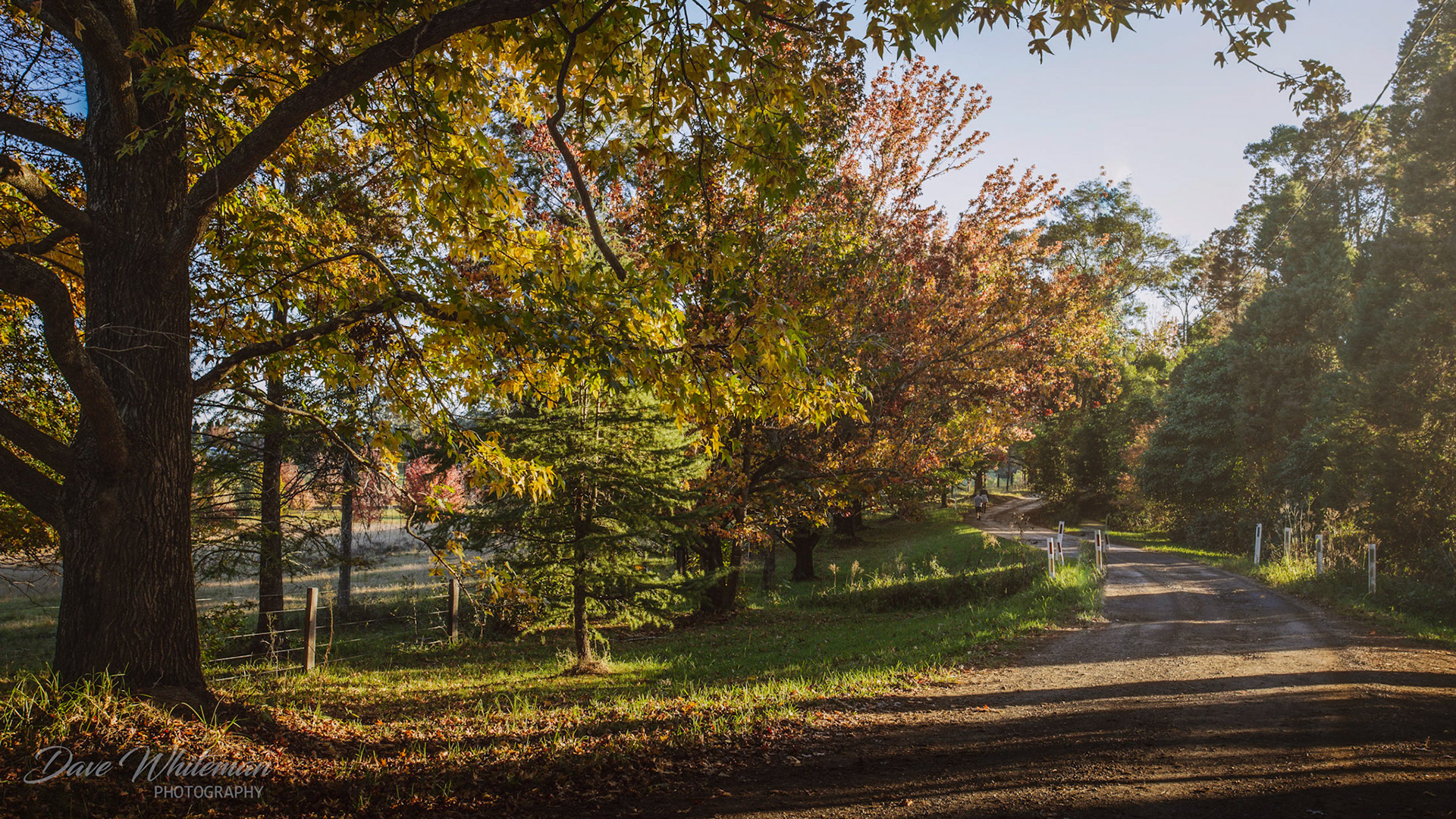Autumn in Mountain Lagoon
