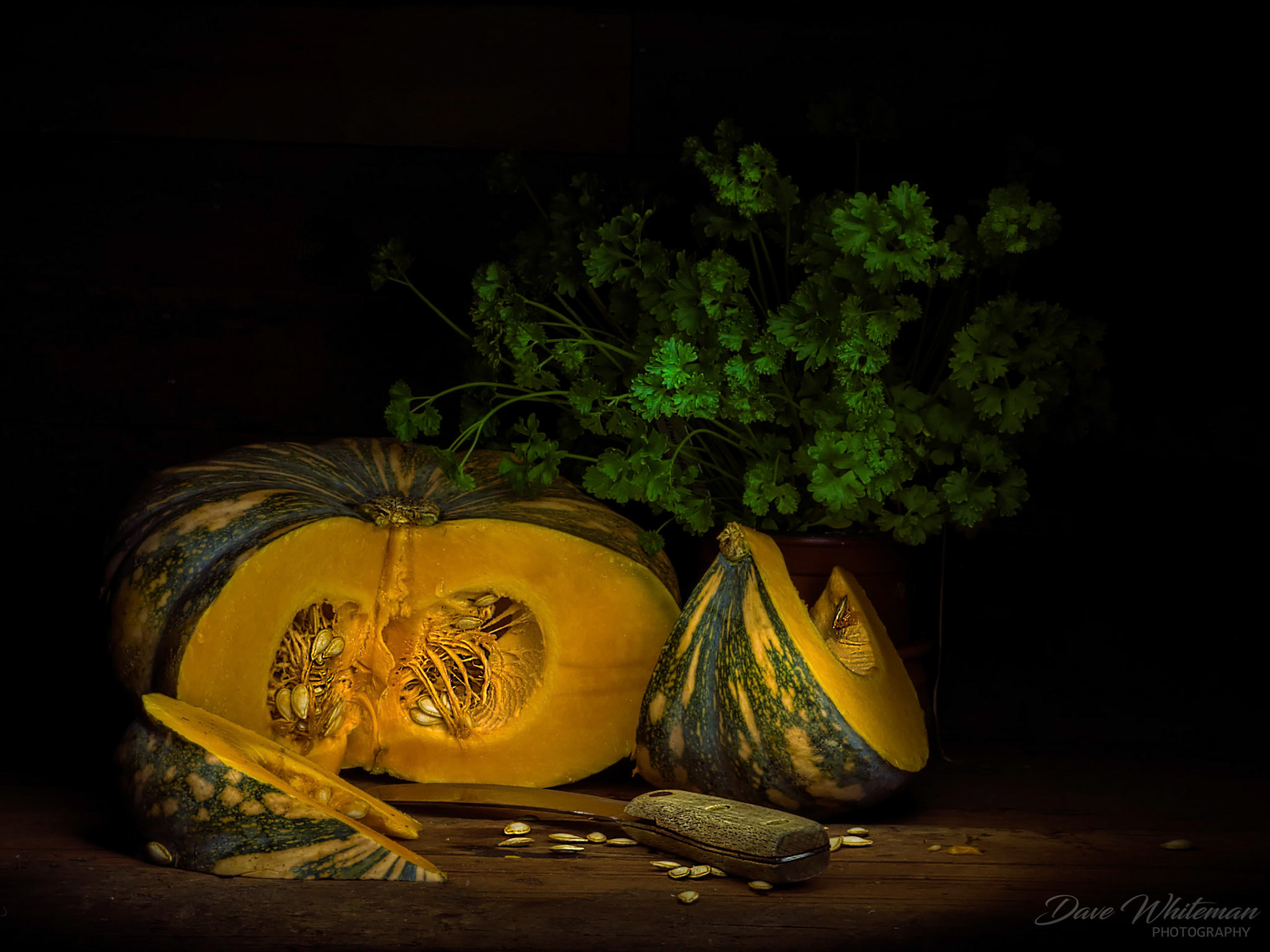 Pumpkin still life light painting
