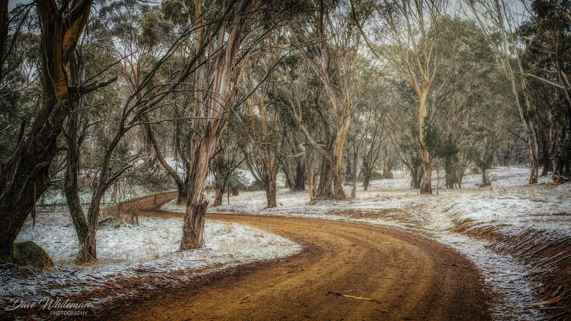 Bush track to Lake Oberon after snowfalls in late Autumn.