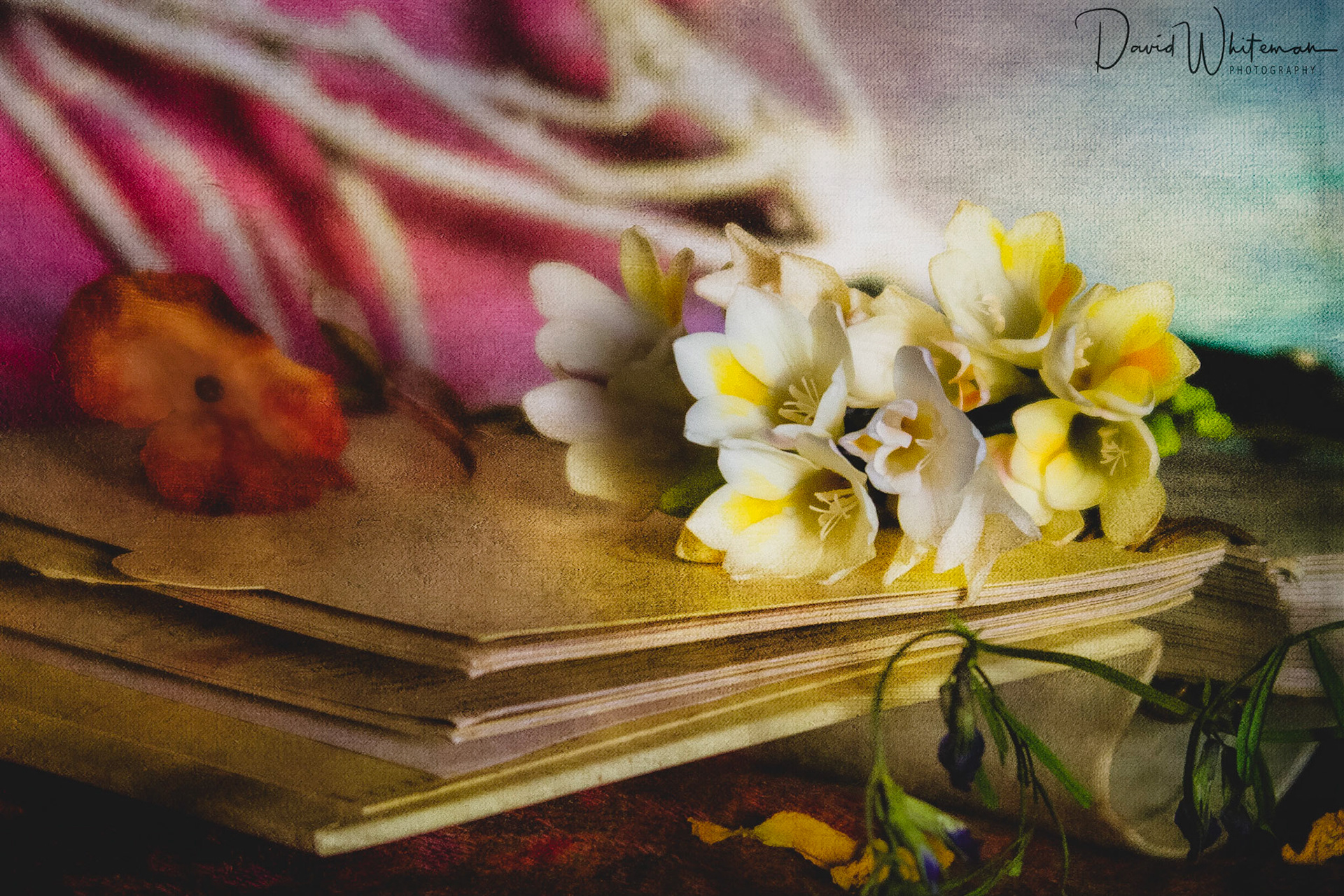 Nothing defines the coming of Spring more than the arriival of Freesias and their wonderful scent.