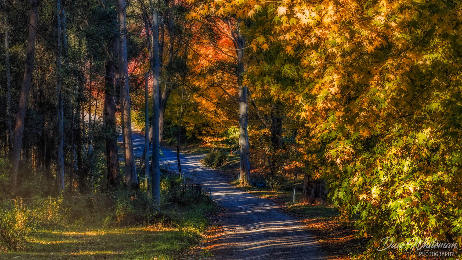 Autumn along Sams Way Mountain Lagoon