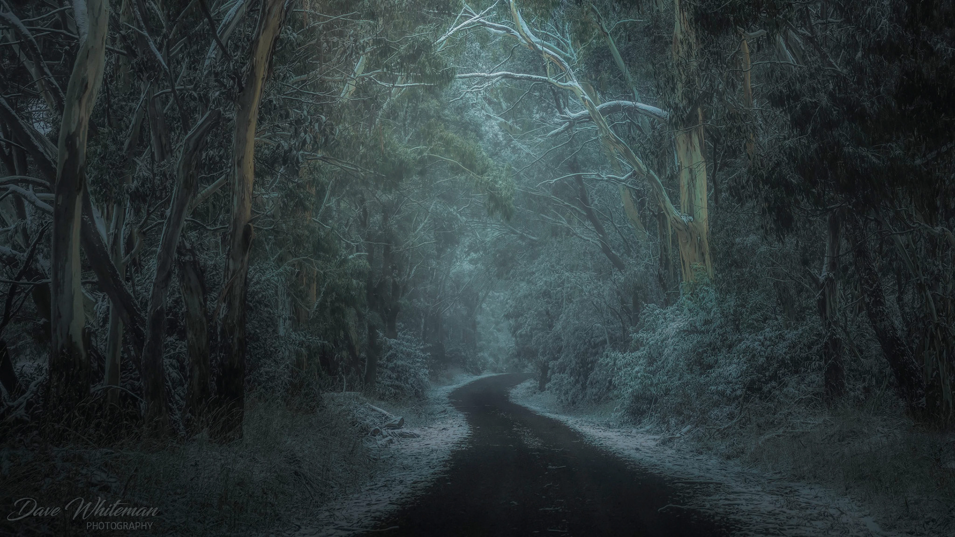 The road to Mozart in the Central Tablelands of NSW during a snowfall in Winter