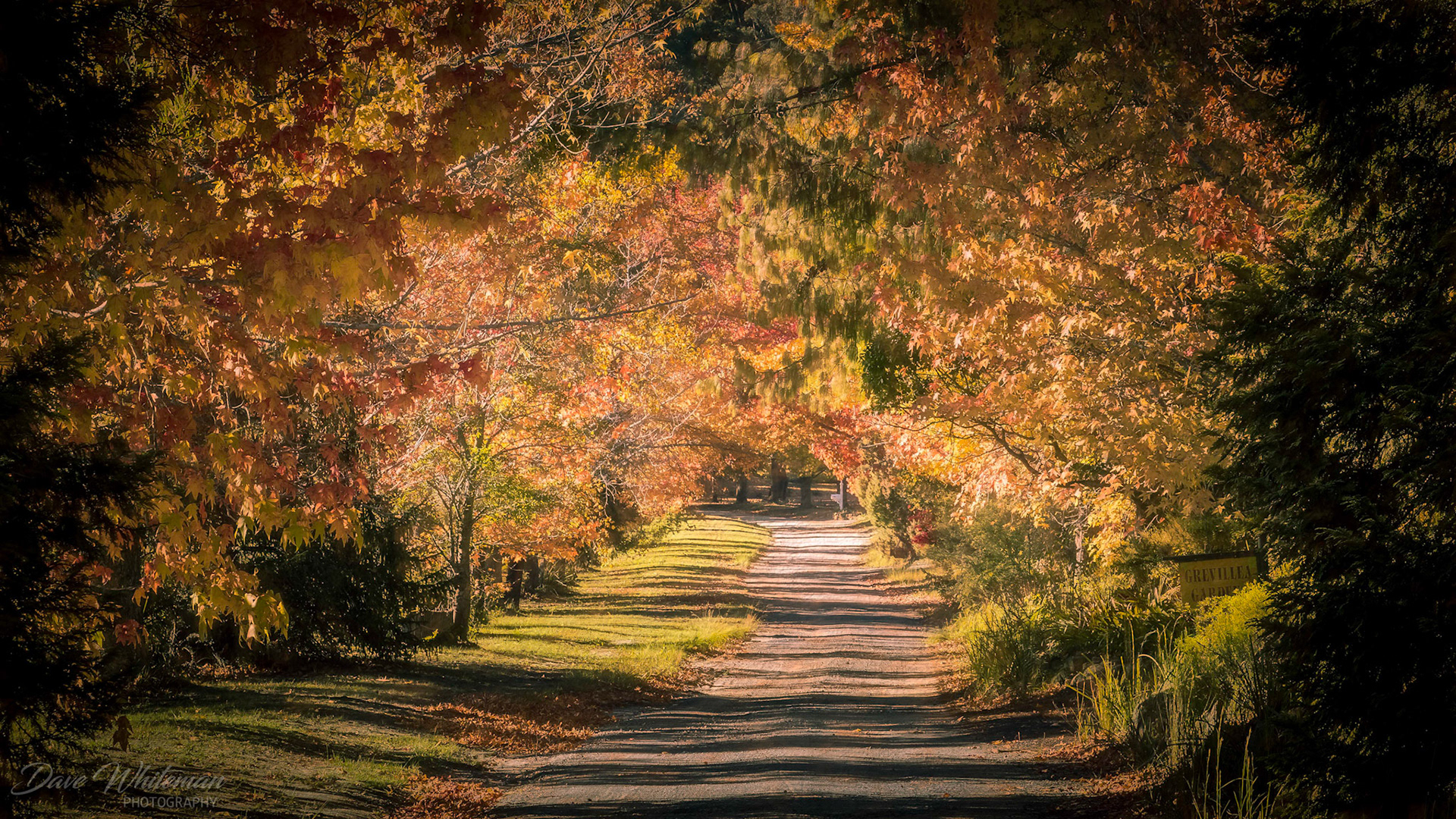 Sams Way at Mountain Lagoon with Autumn underway.
