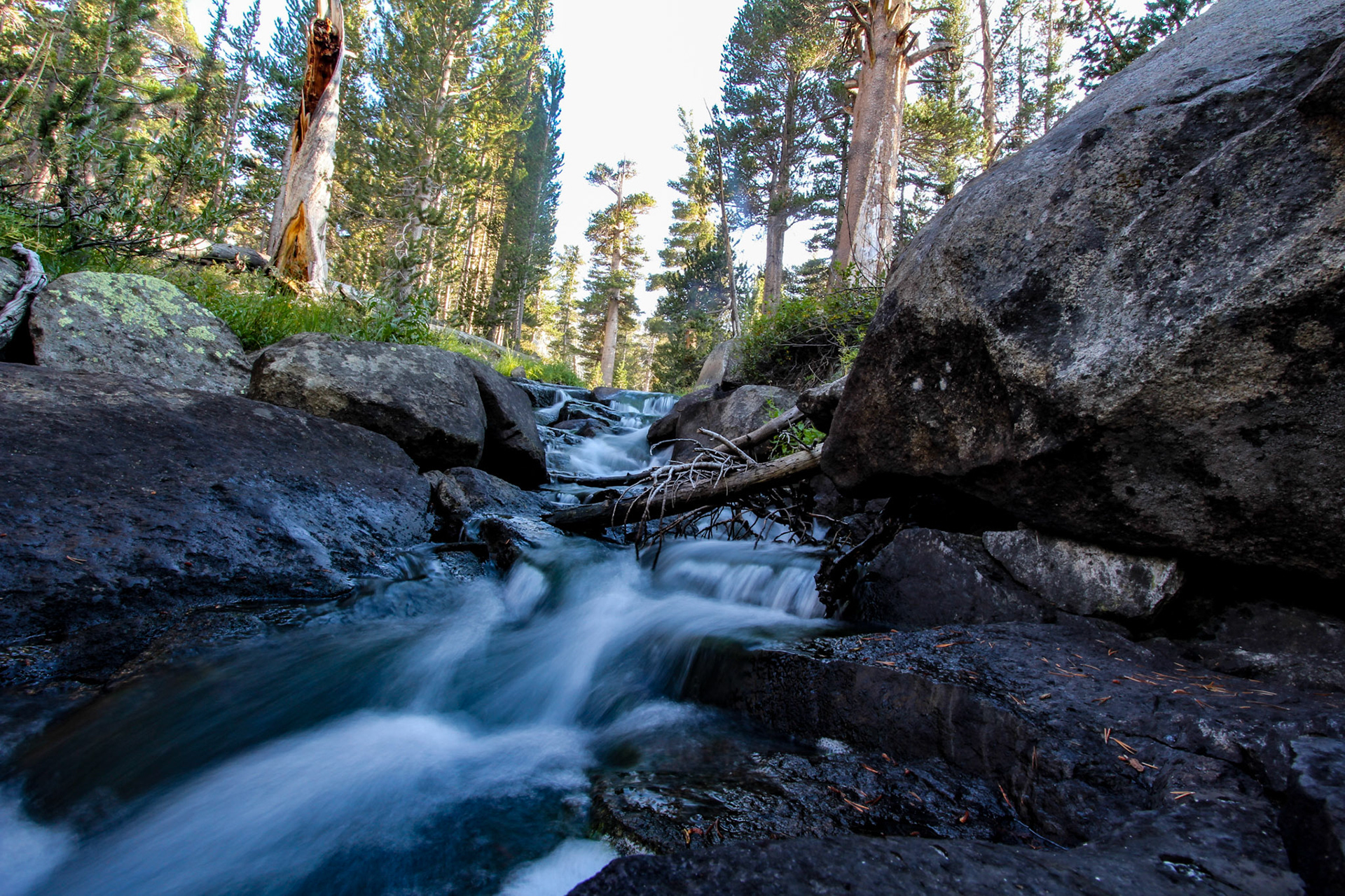 Stream - Mineral King, CA