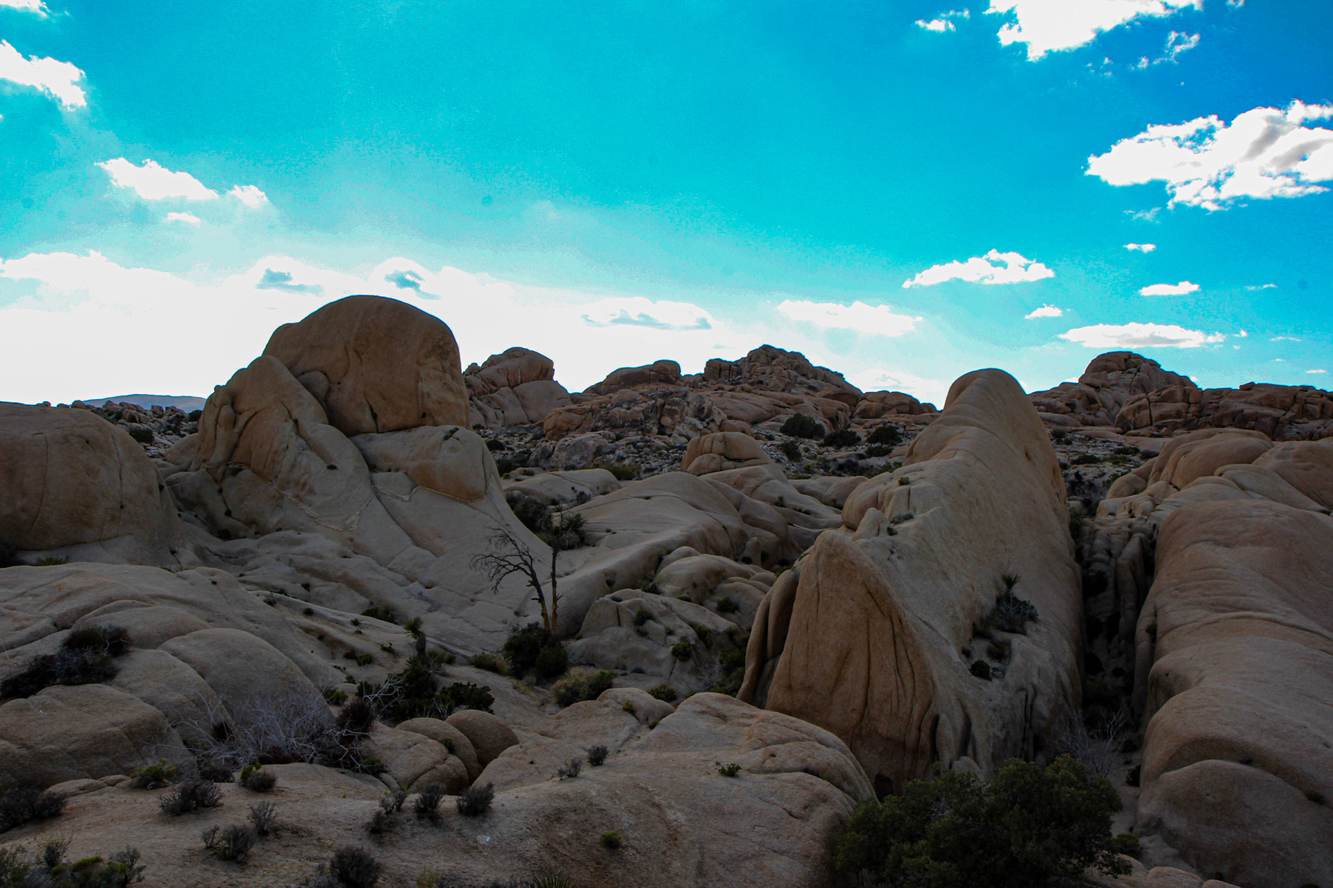 Jumbo Rocks - Joshua Tree, CA