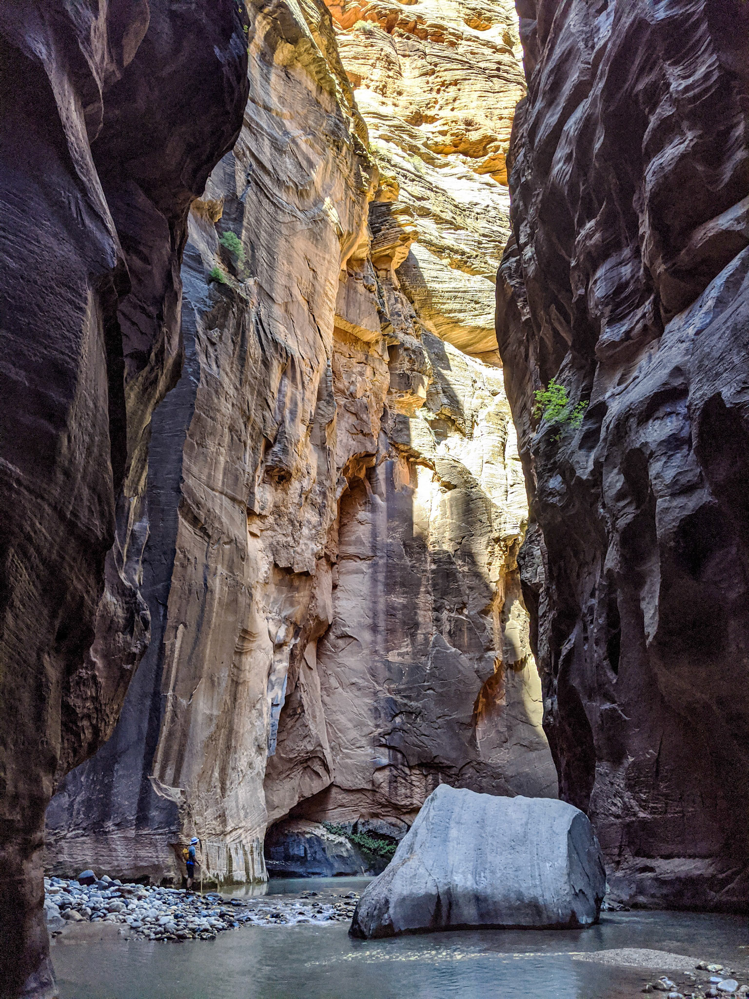 THE NARROWS - ZION