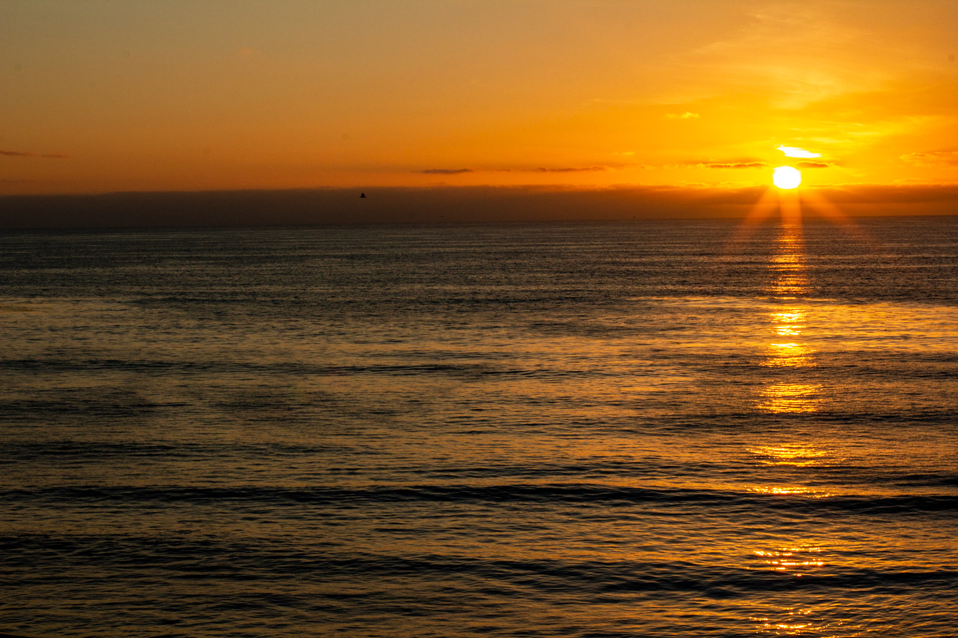 San Elijo Beach Camping Sunset