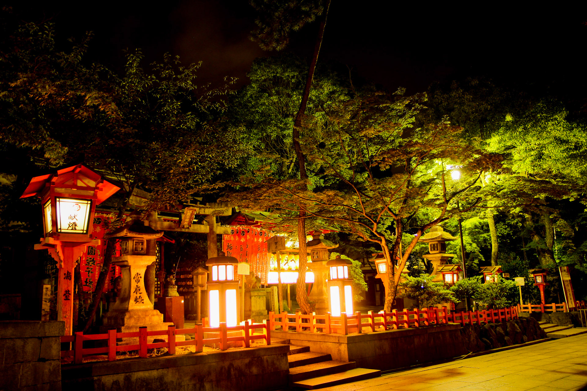 Tokyo Night