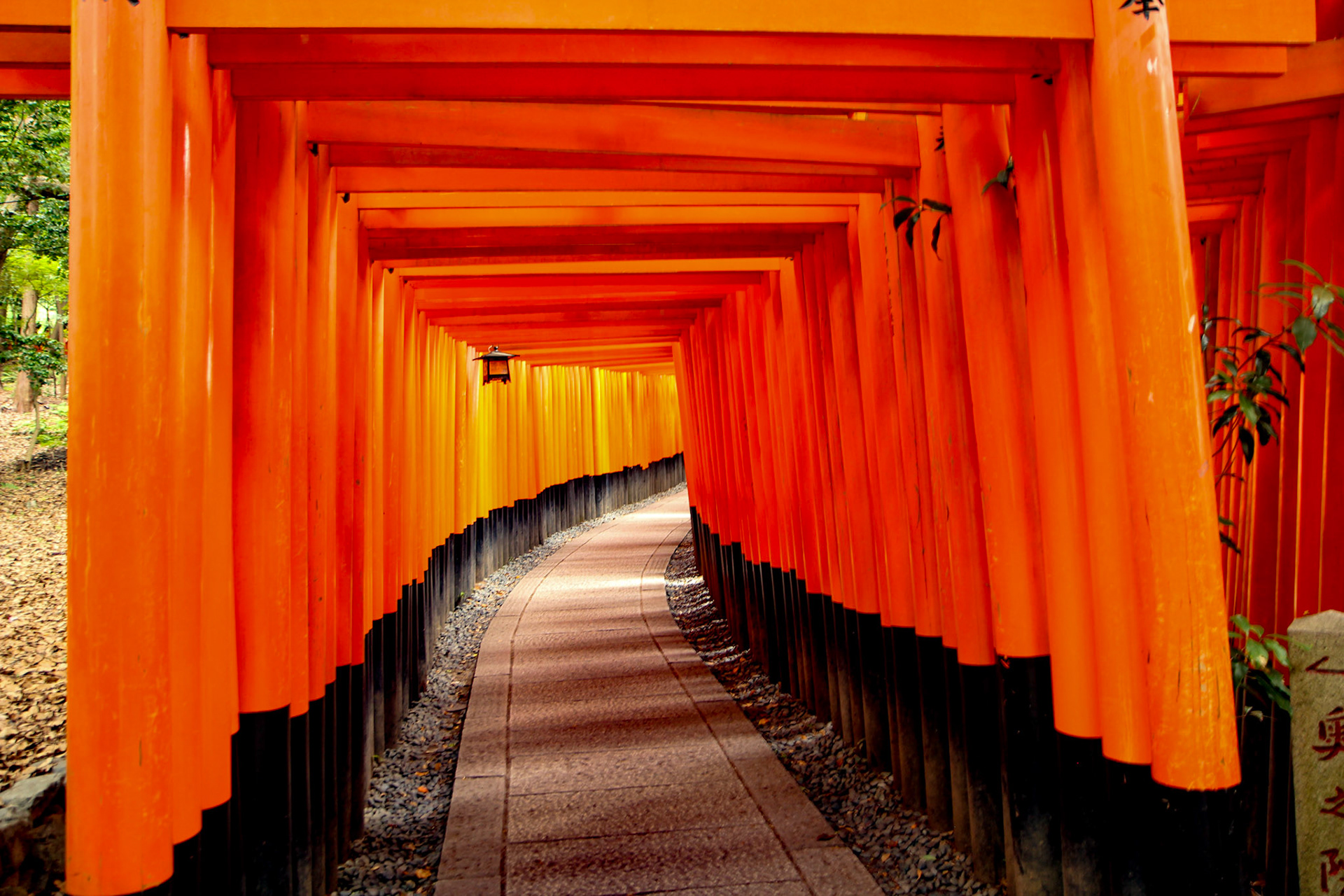 Tori Gates of Fushimi - Kyoto, Japan