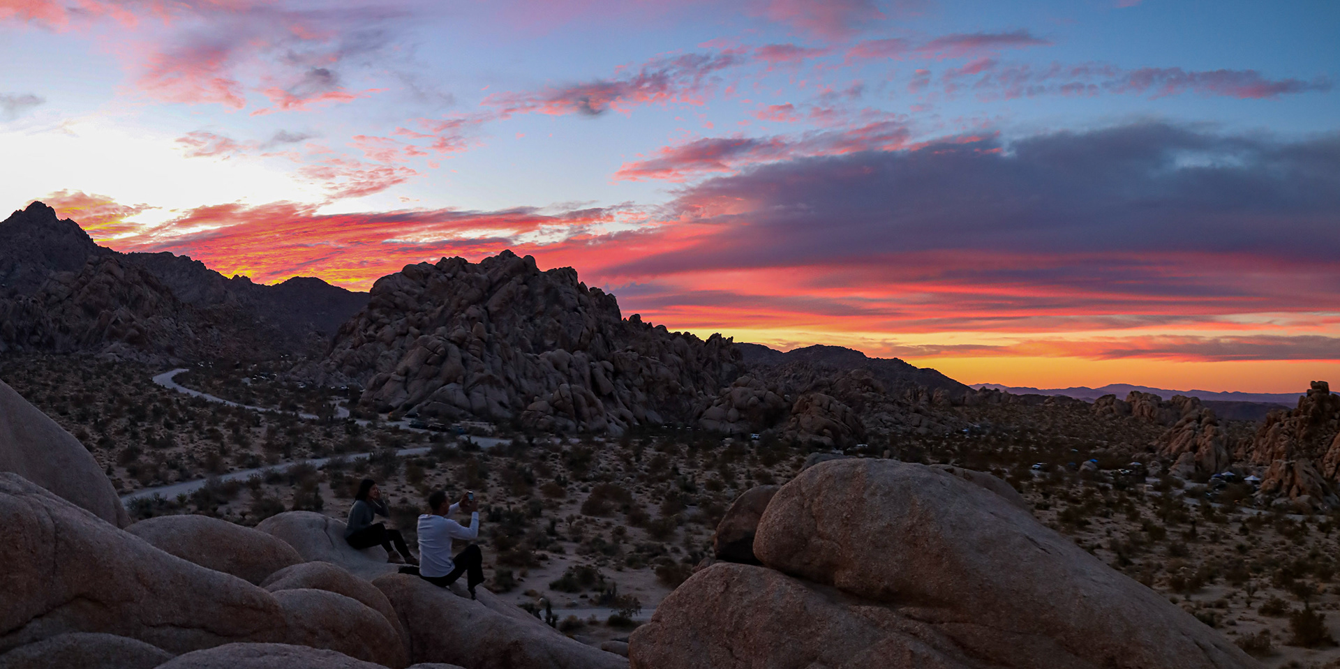 FRIENDS - JOSHUA TREE