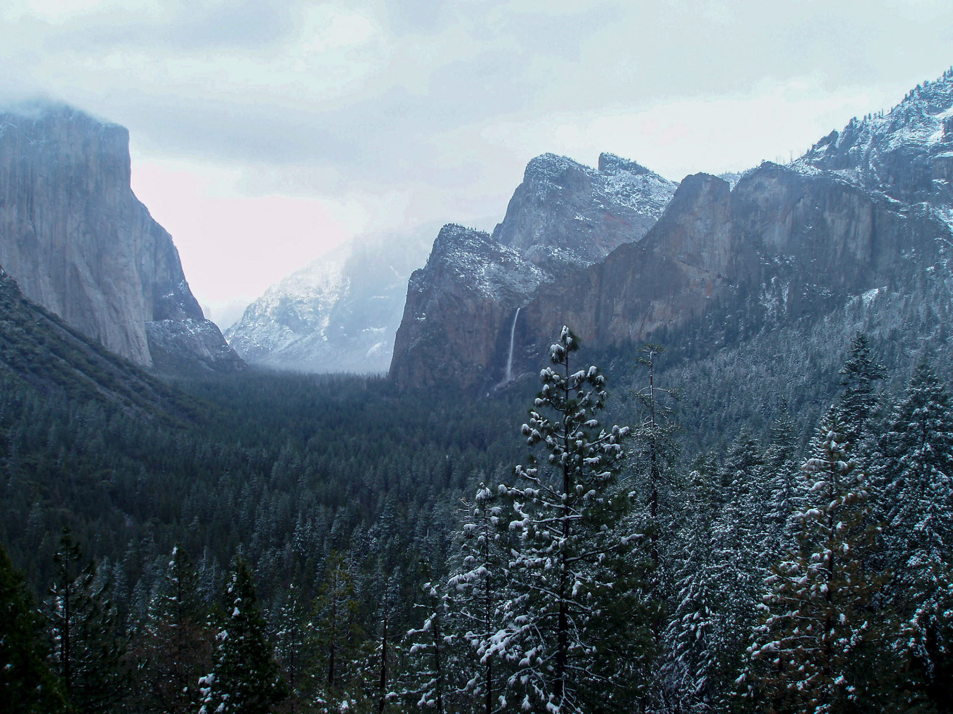 Overlooking the Snowy Valley of Yosemite