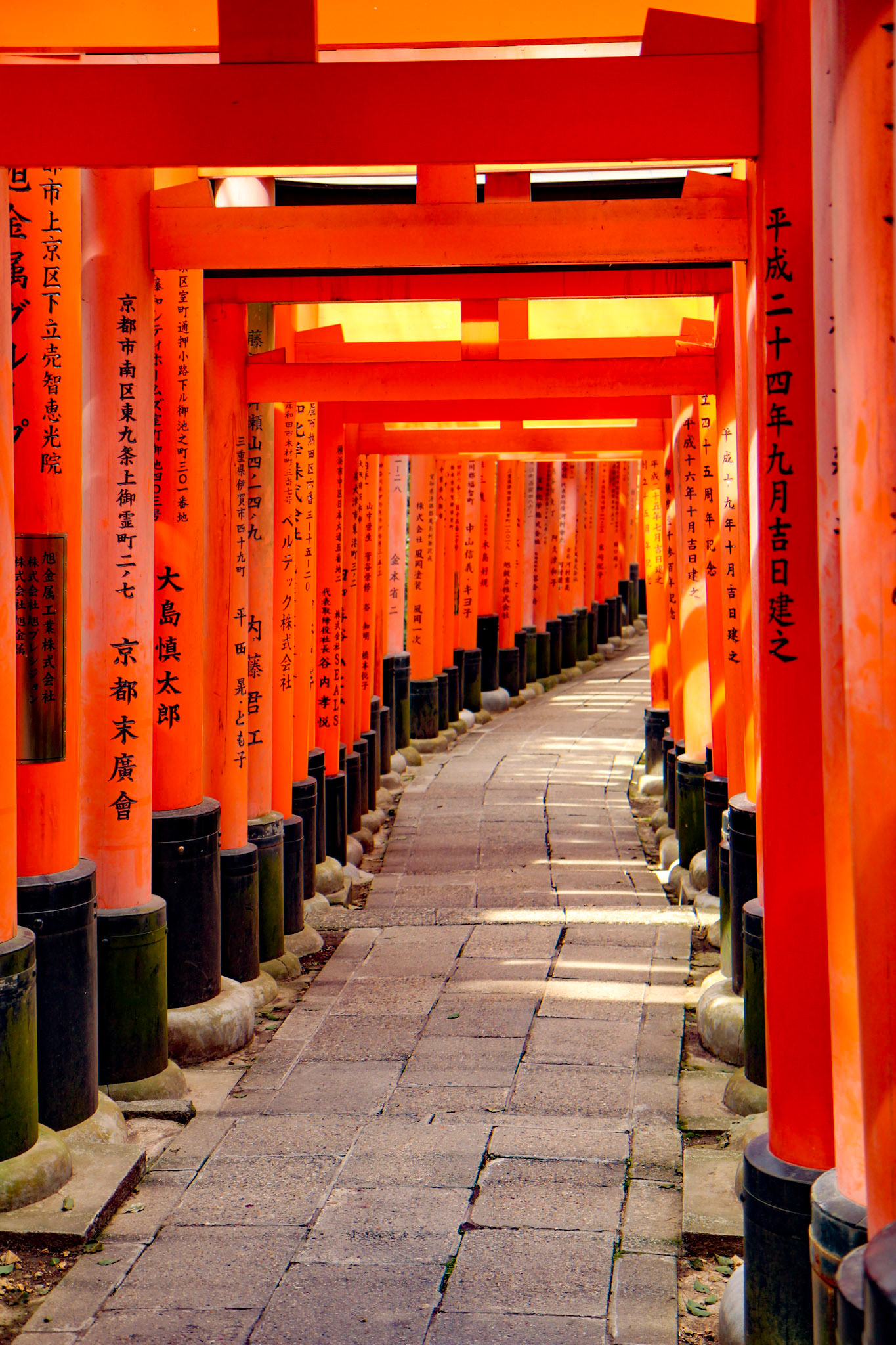 Back Side of the Tori Gates of Fushimi - Kyoto, Japan