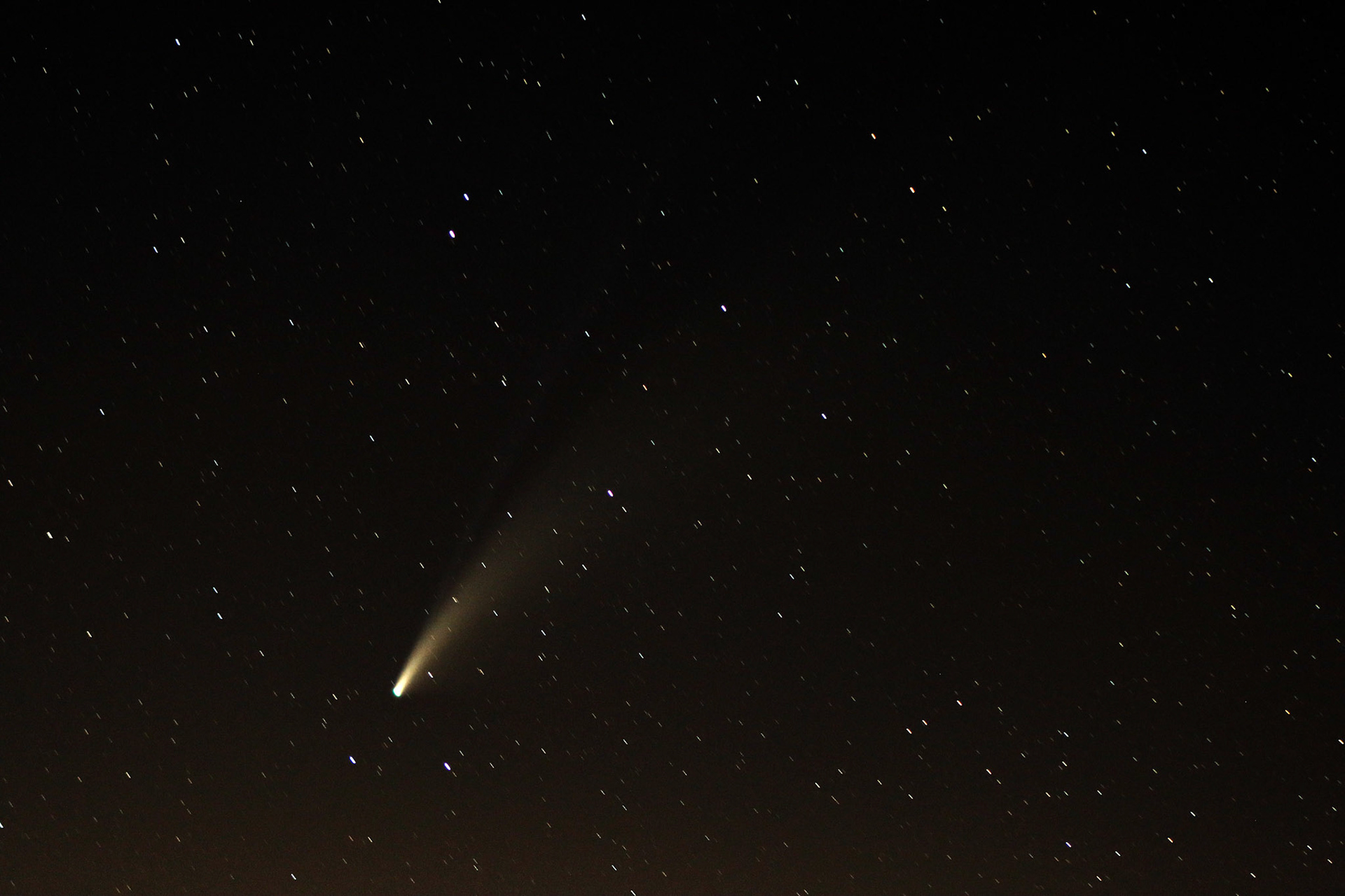 NEOWISE