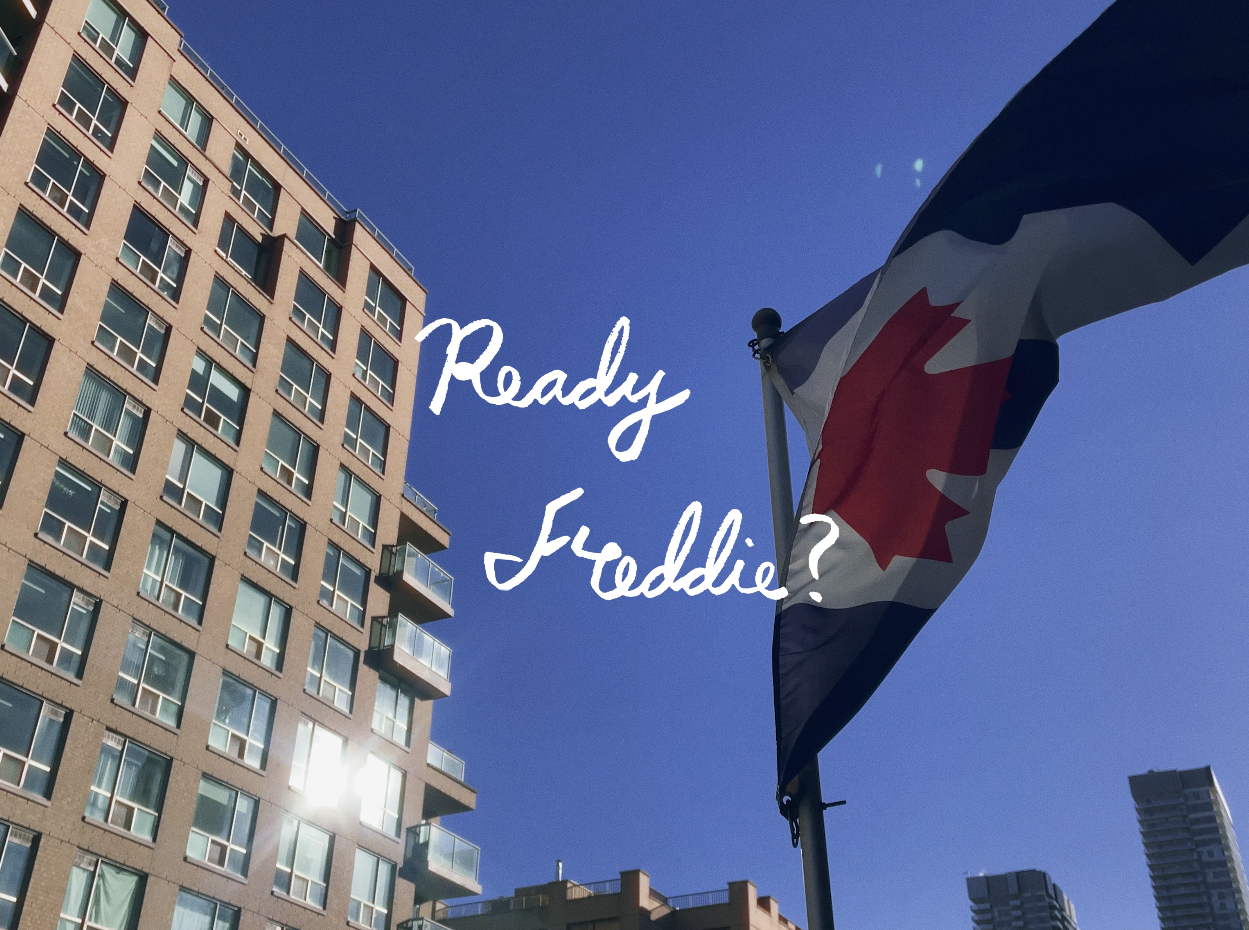 Ready Freddie – Title Card