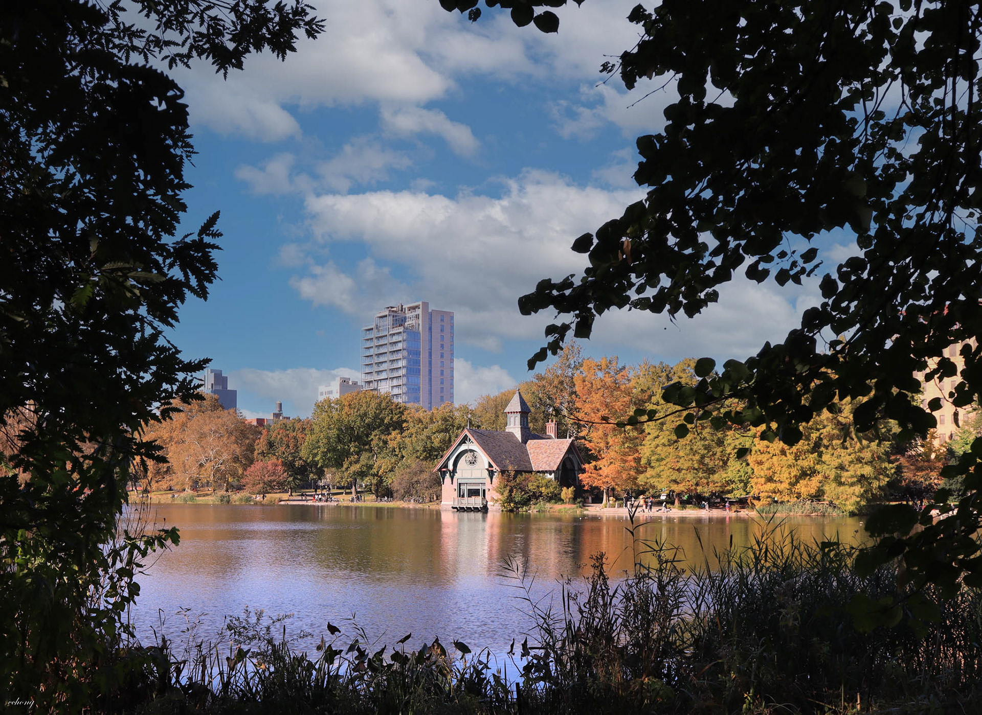 Central Park, NY #7