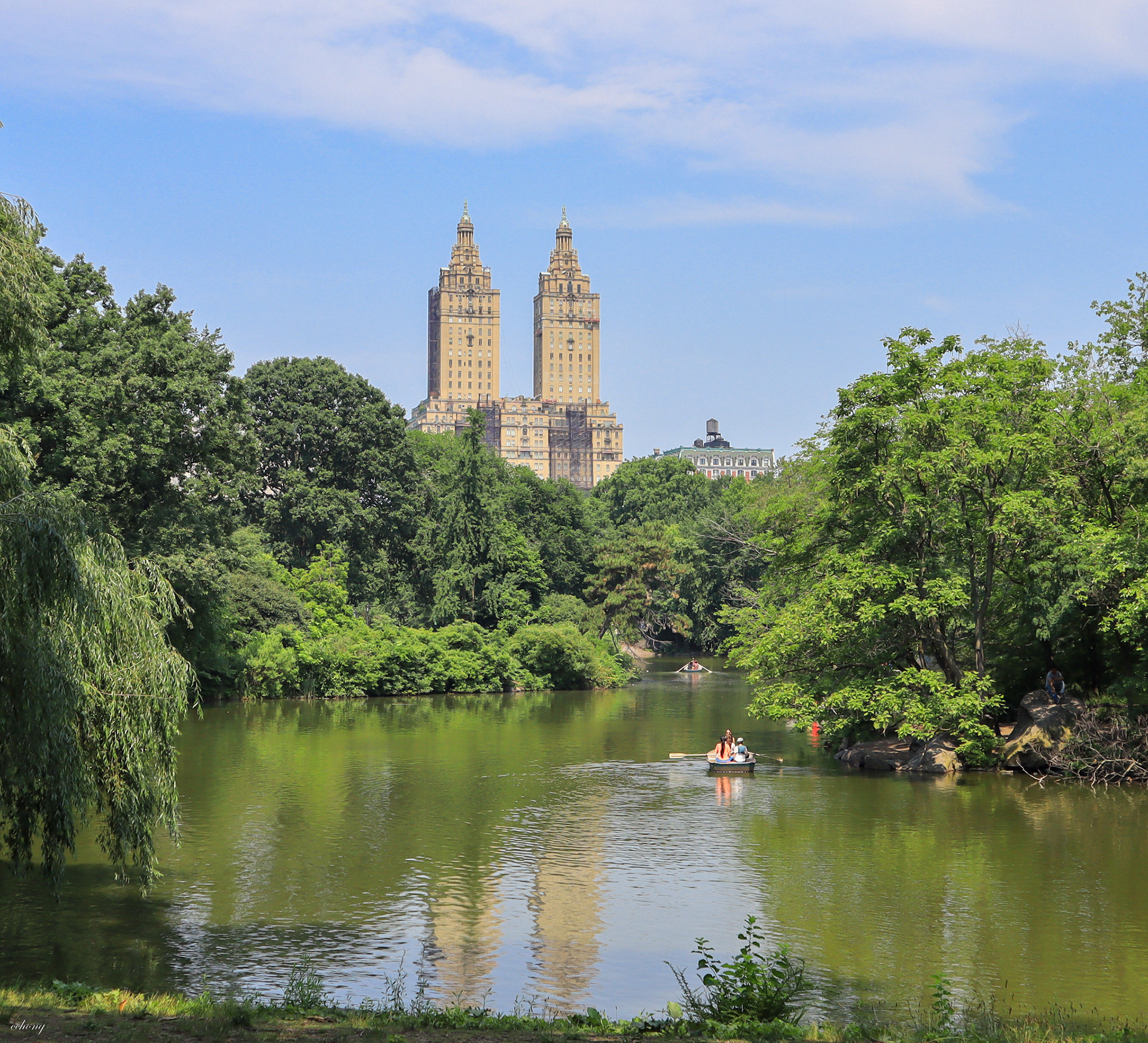 Central Park, NY #6